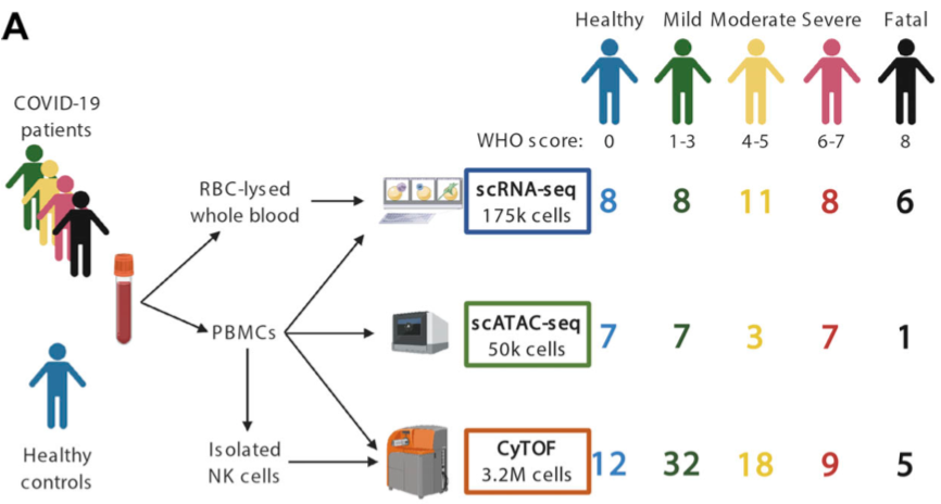 Aaron J. Wilk, Madeline J. Lee, Bei Wei, Benjamin Parks, Ruoxi Pi, Giovanny J. Martínez-Colón, Thanmayi Ranganath, Nancy Q. Zhao, Shalina Taylor, Winston Becker, Stanford COVID-19 Biobank, David Jimenez-Morales, Andra L. Blomkalns, Ruth O’Hara, Euan A. Ashley, Kari C. Nadeau, Samuel Yang, Susan Holmes, Marlene Rabinovitch, Angela J. Rogers, William J. Greenleaf, Catherine A. Blish (2021) “Multi-omic profiling reveals widespread dysregulation of innate immunity and hematopoiesis in COVID-19” Journal of Experimental Medicine