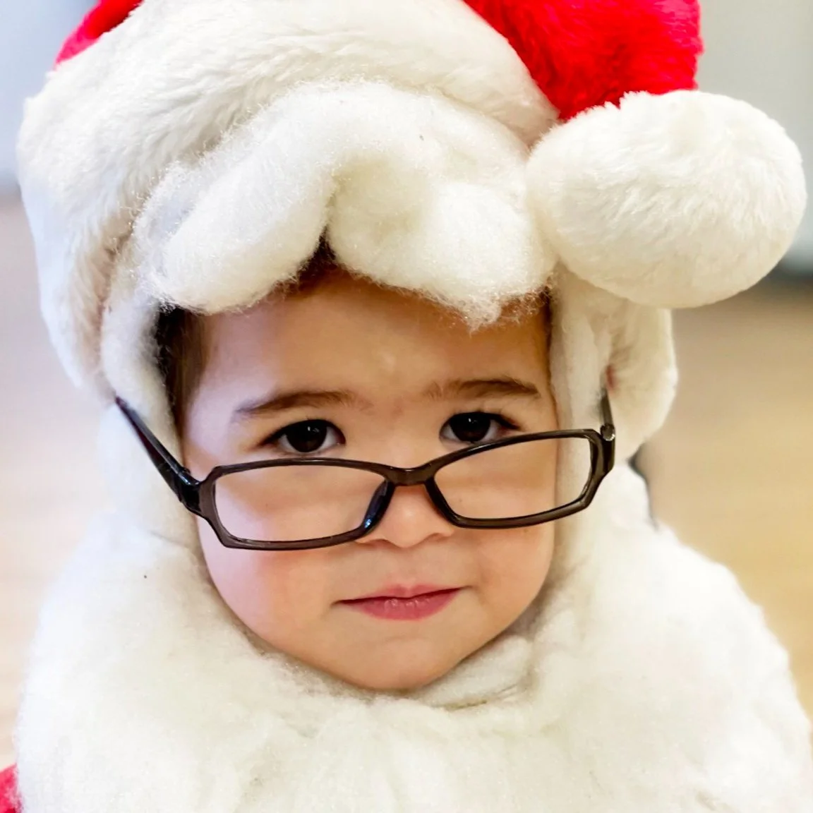 Holiday Spirit Spectacular Preschool Show