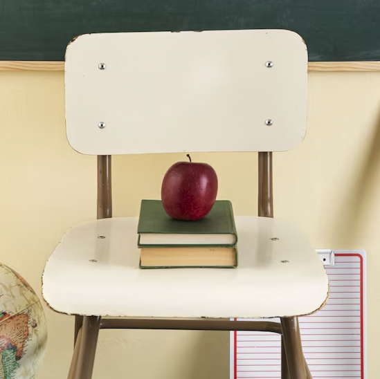 Memory Lane: School Days