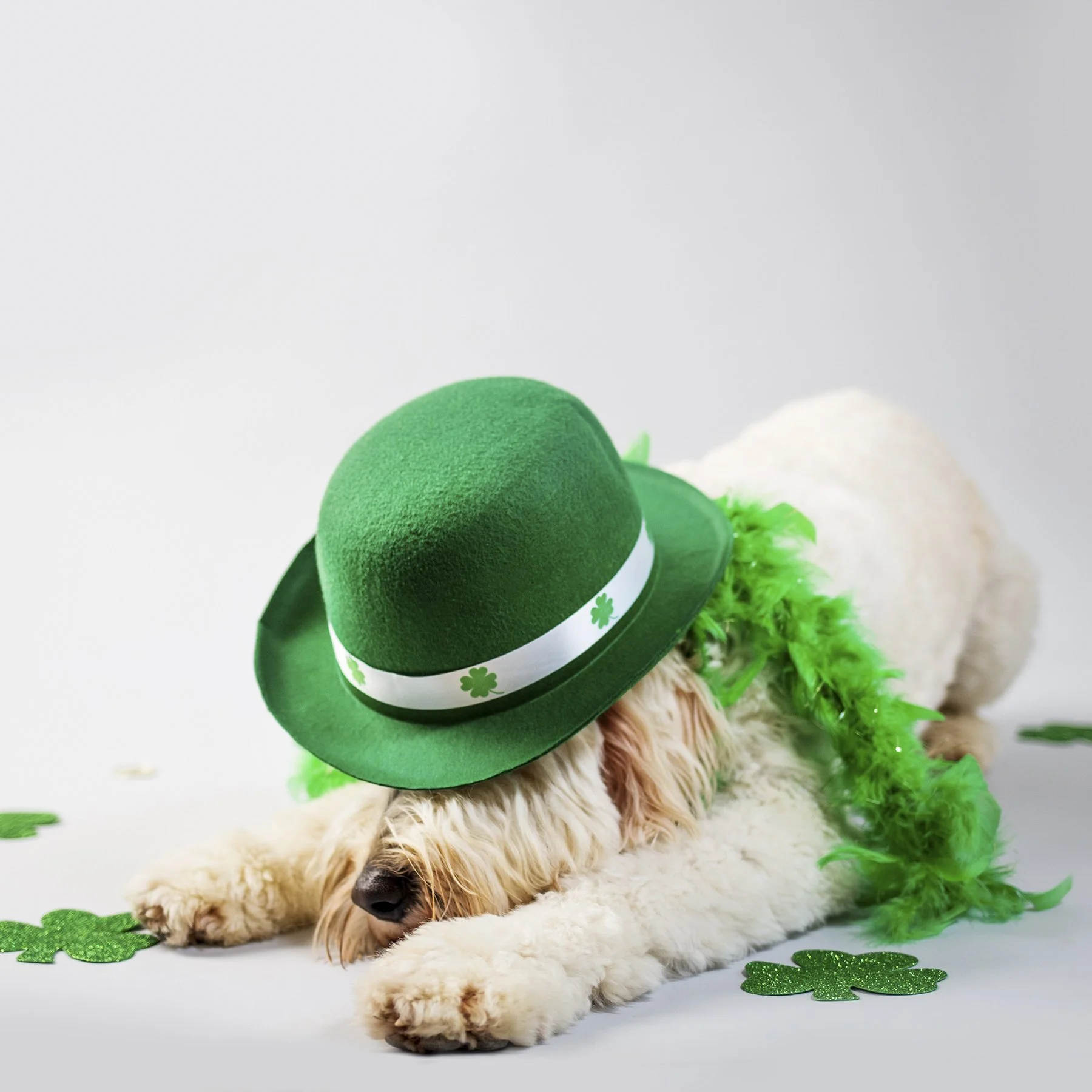 Irish Music with Mike