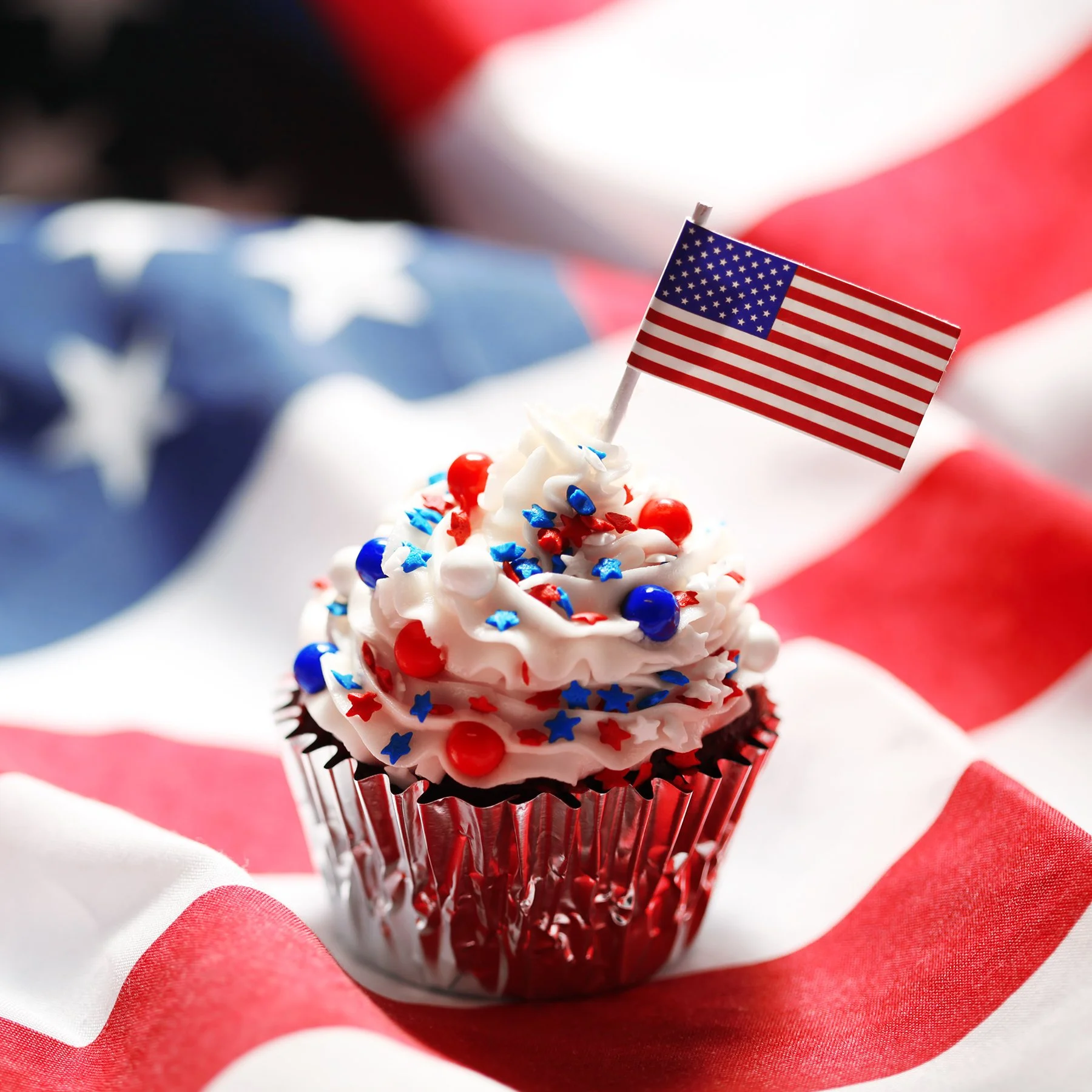 Fourth of July Picnic Lunch