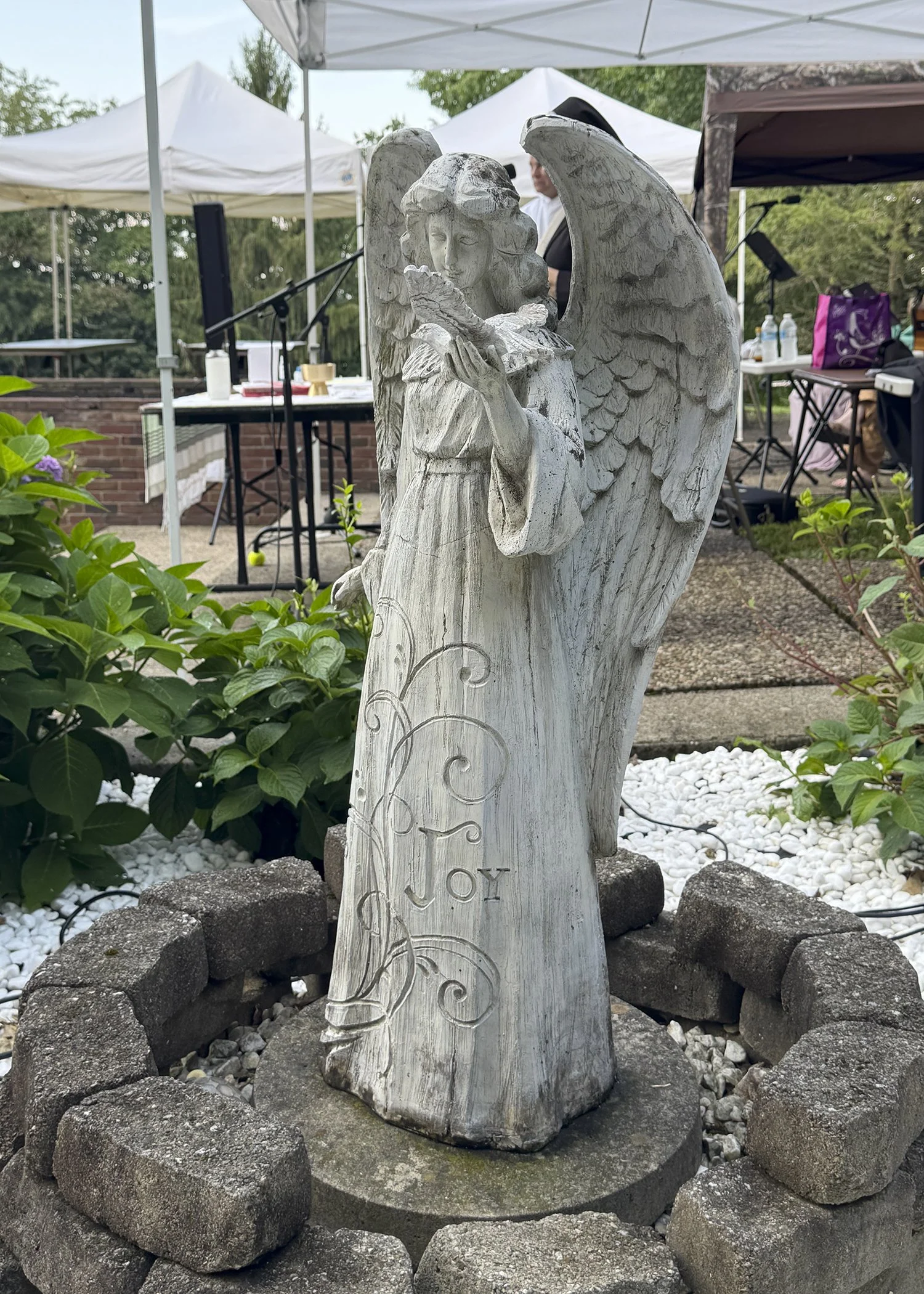 IMG_6780.jpg