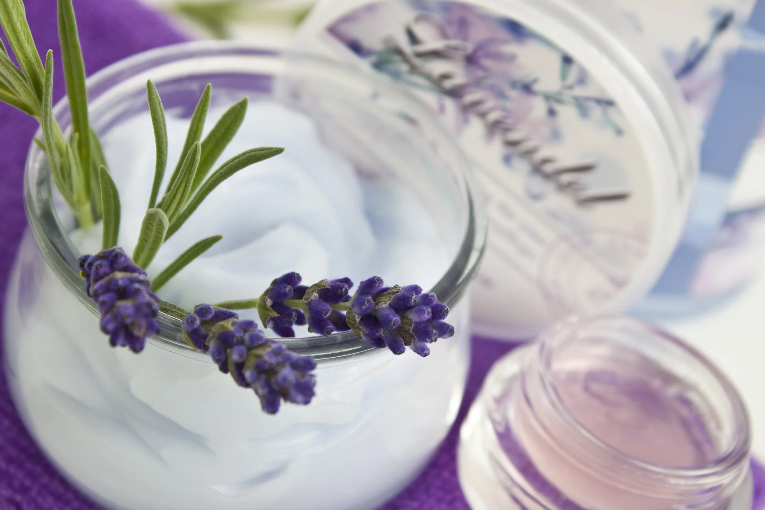 AdobeStock_32972868 (1).jpeg