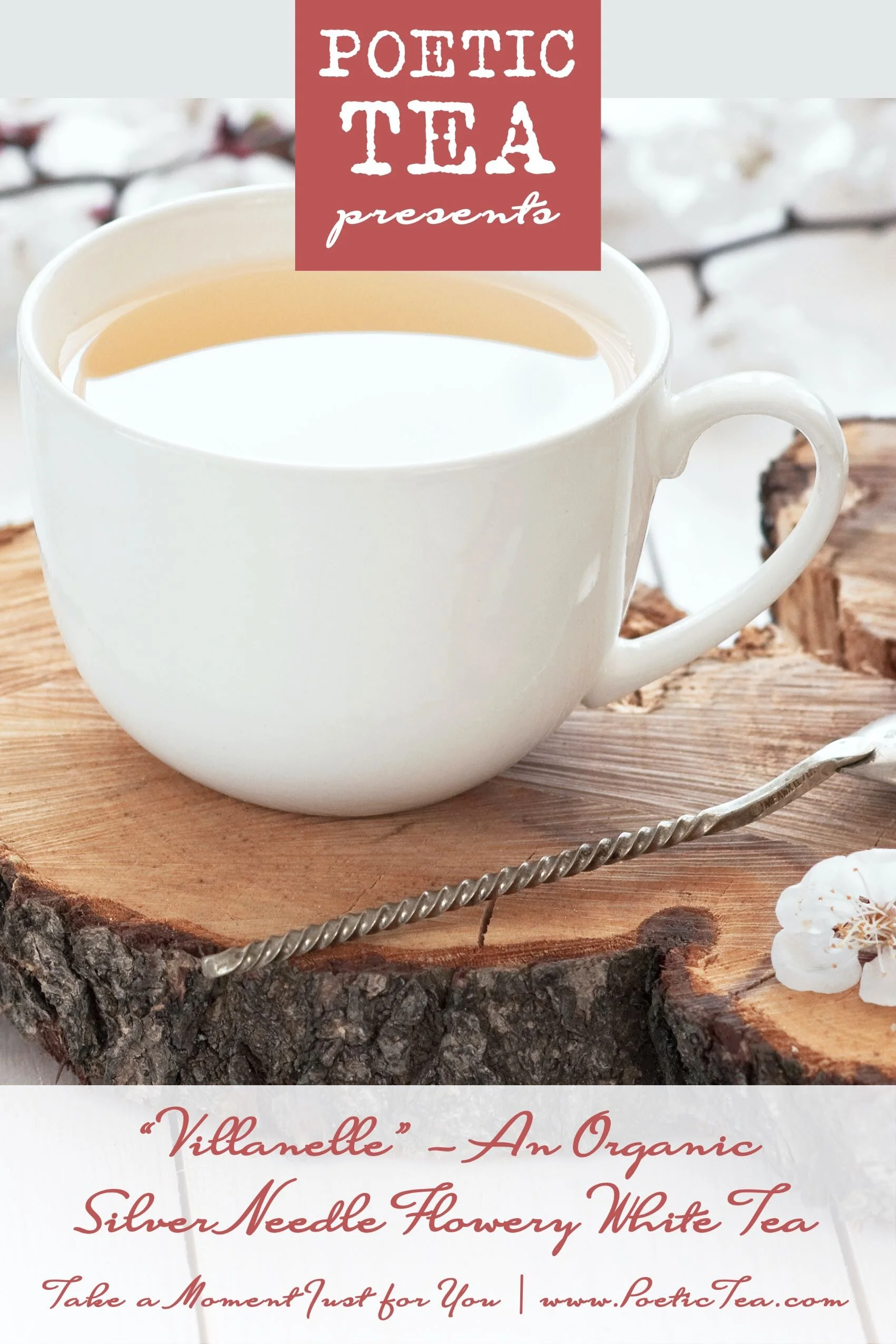 Cup of Villanelle Silver Needle White Tea