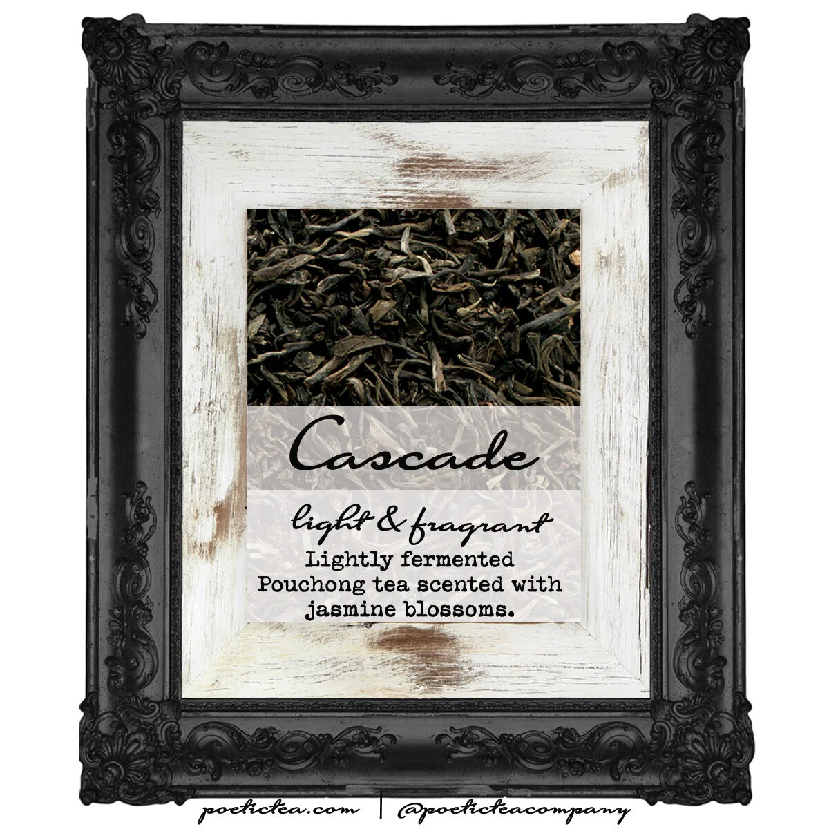 Cascade - Jasmine Green Loose Tea