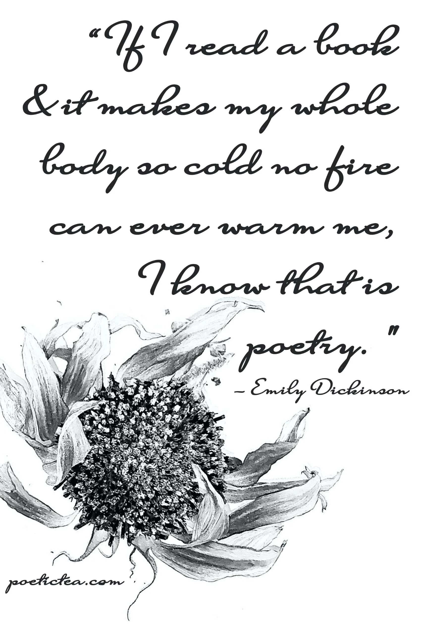 "If I read a book and it makes my whole body so cold no fire can ever warm me, I know that is poetry."