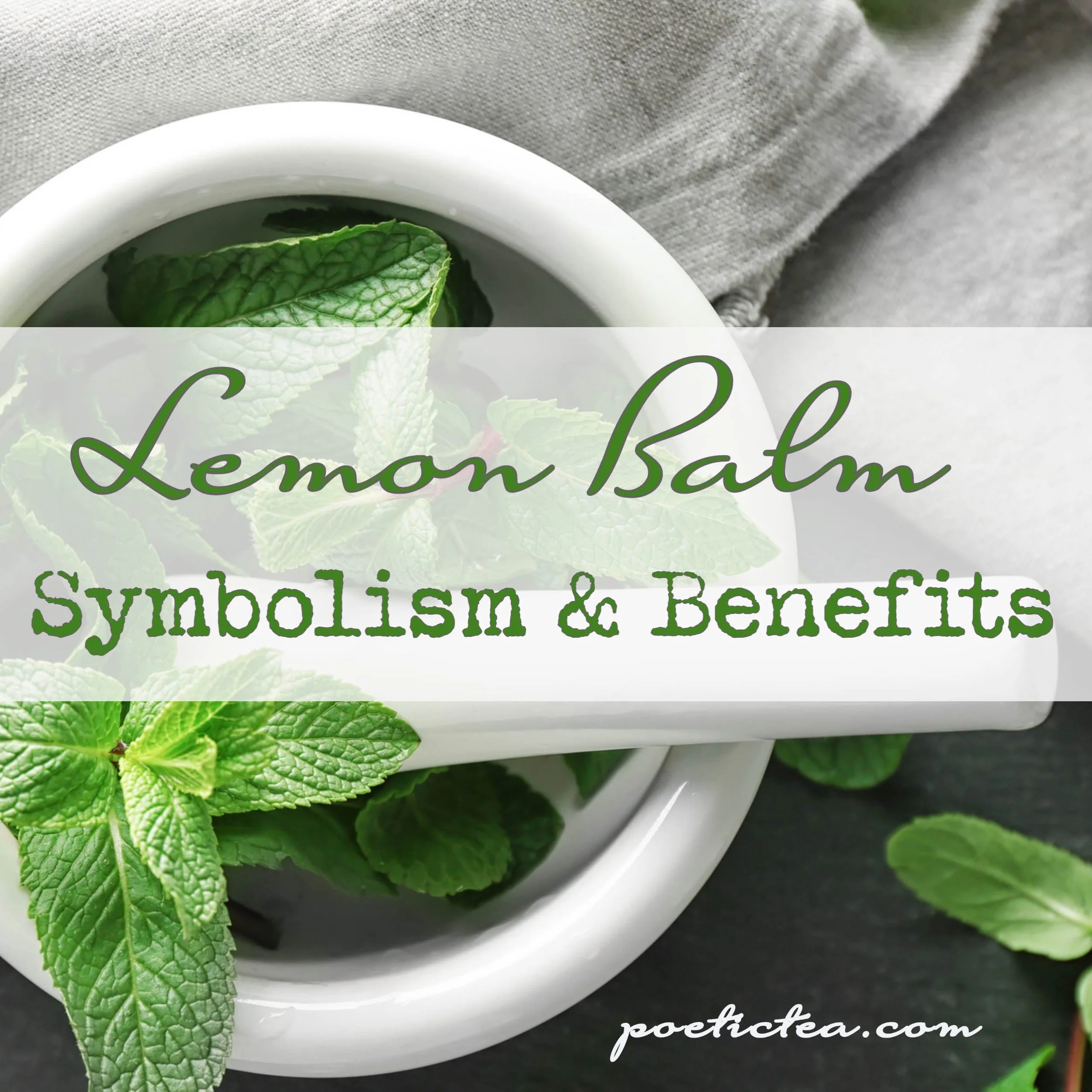 Lemon Balm:  Symbolism and Benefits