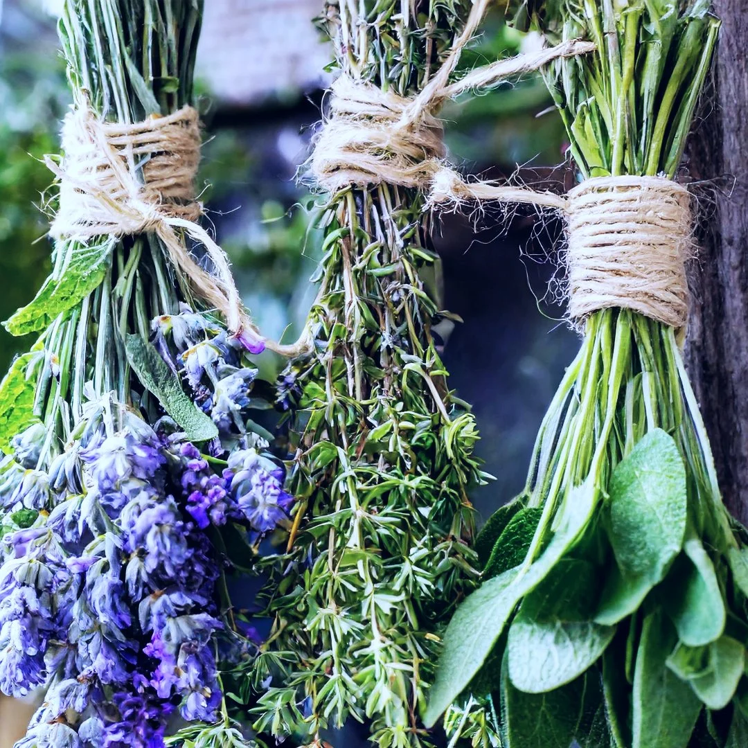 An Herbal Guide to the New Moon in Aquarius