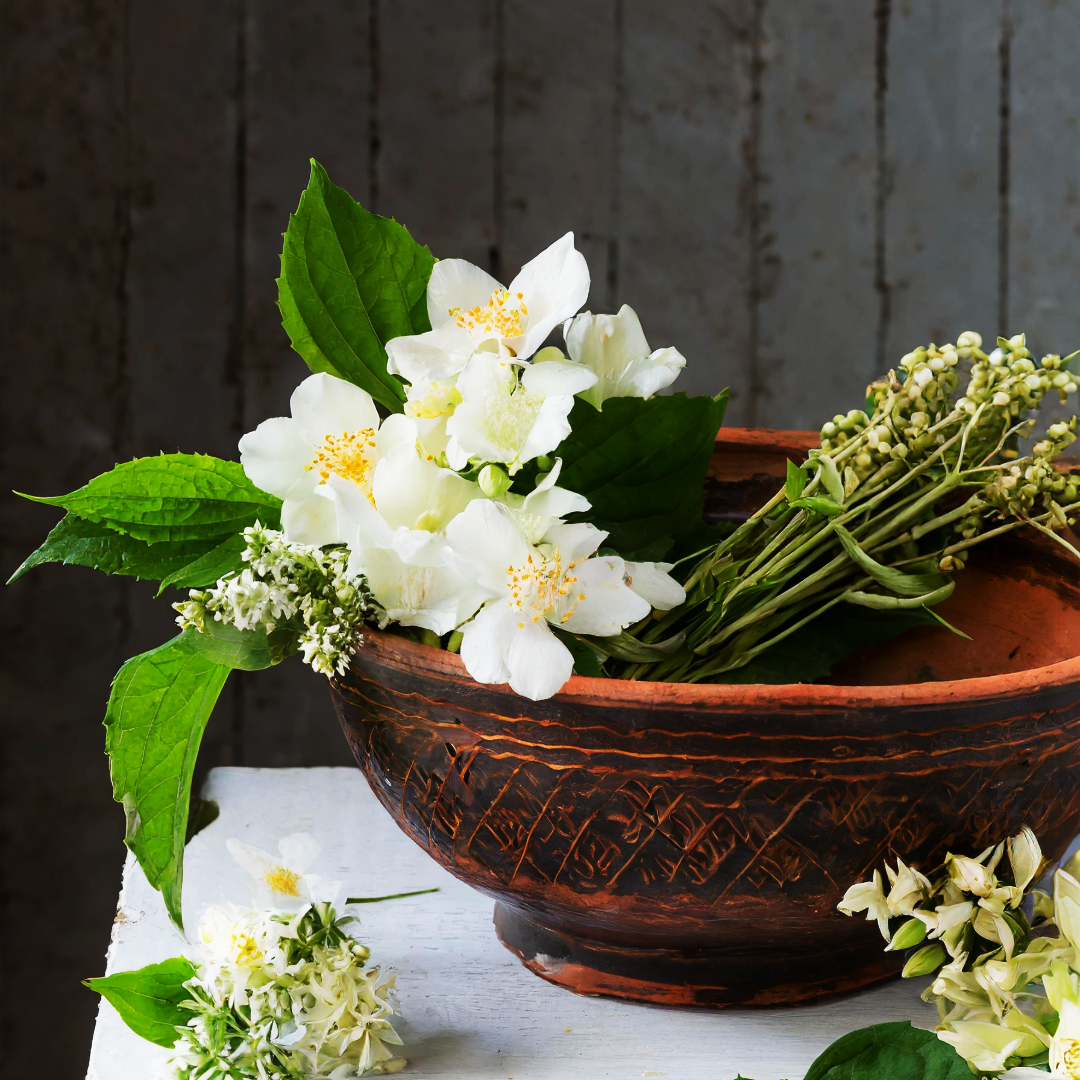 An Herbal Guide to the New Moon in Libra