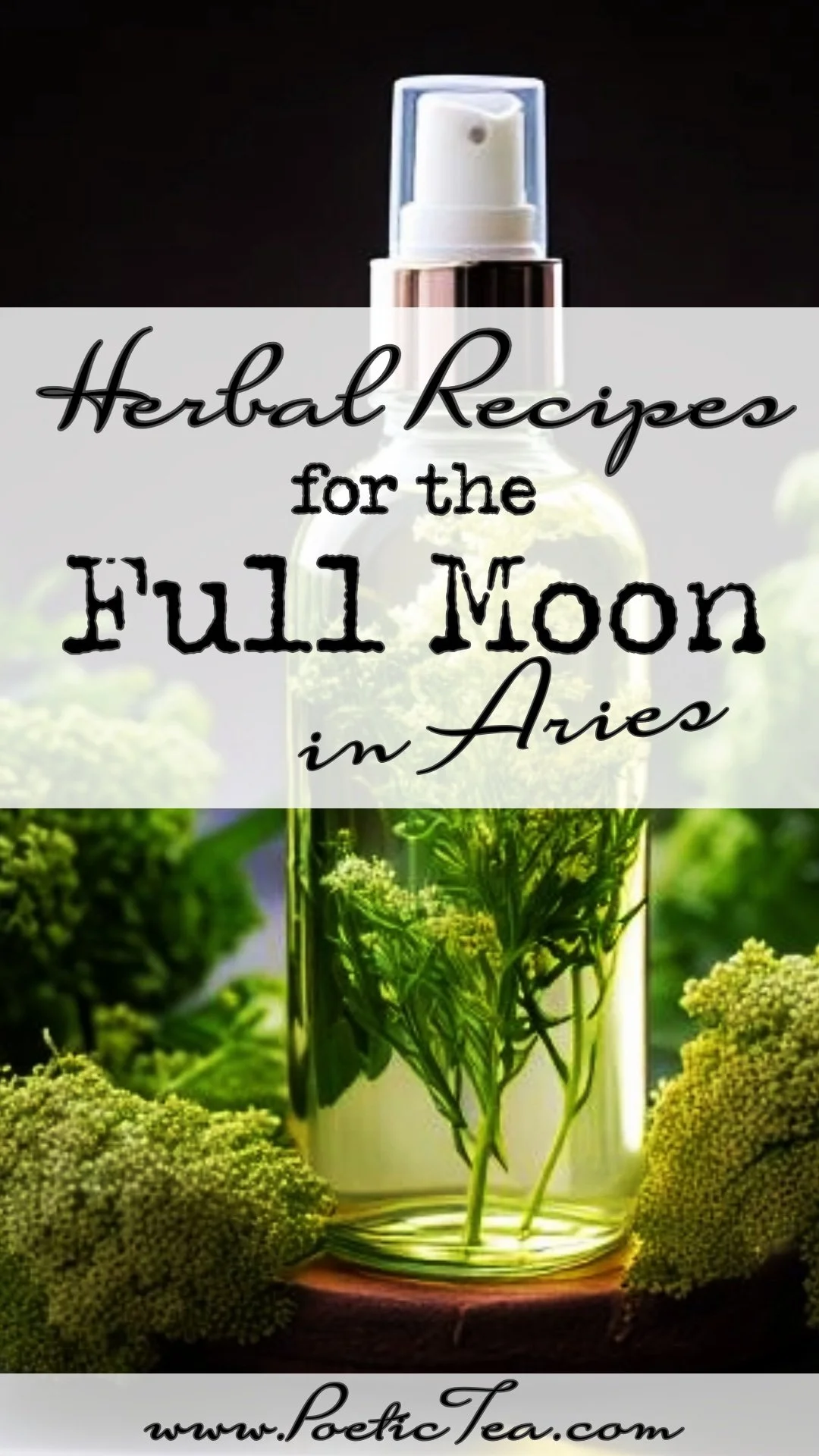 Herbal Recipes for the Full Moon Aries