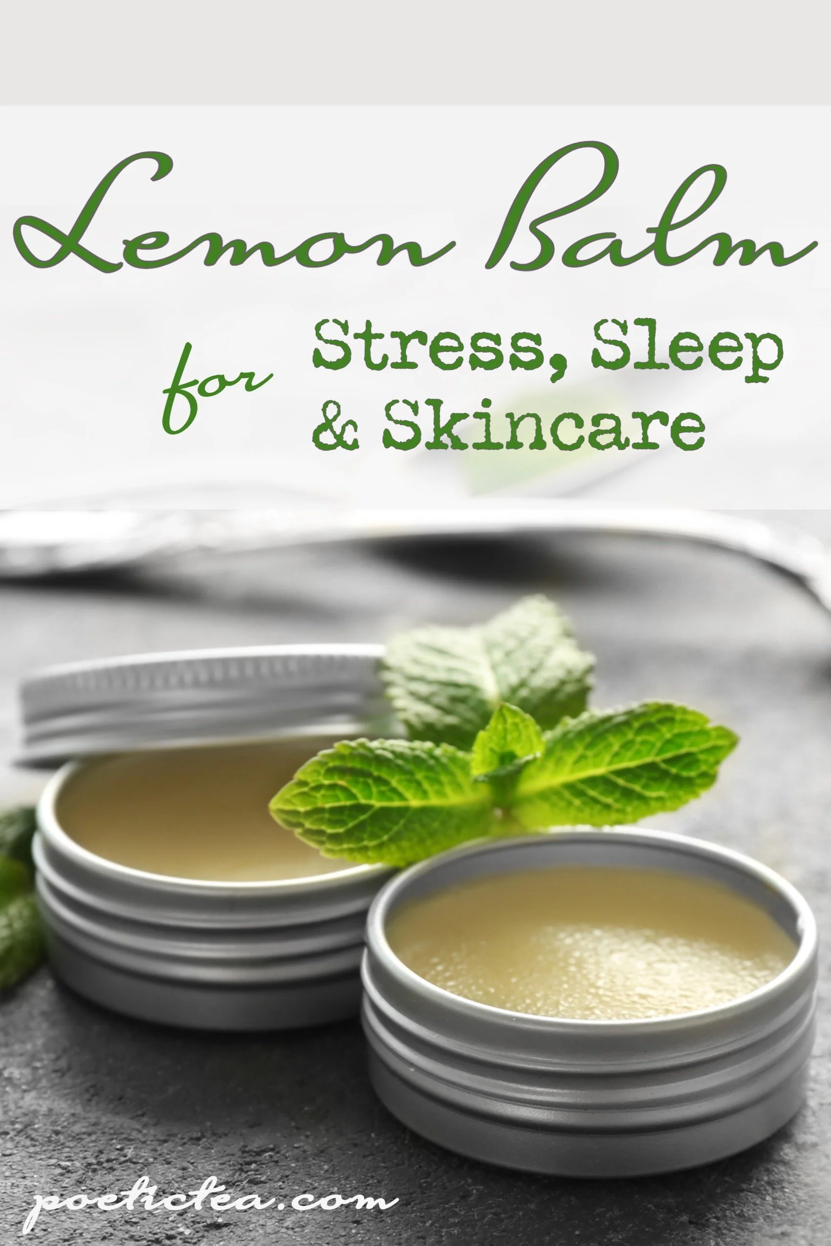 Lemon Balm Symbolism and Benefits — Poetic Tea Company