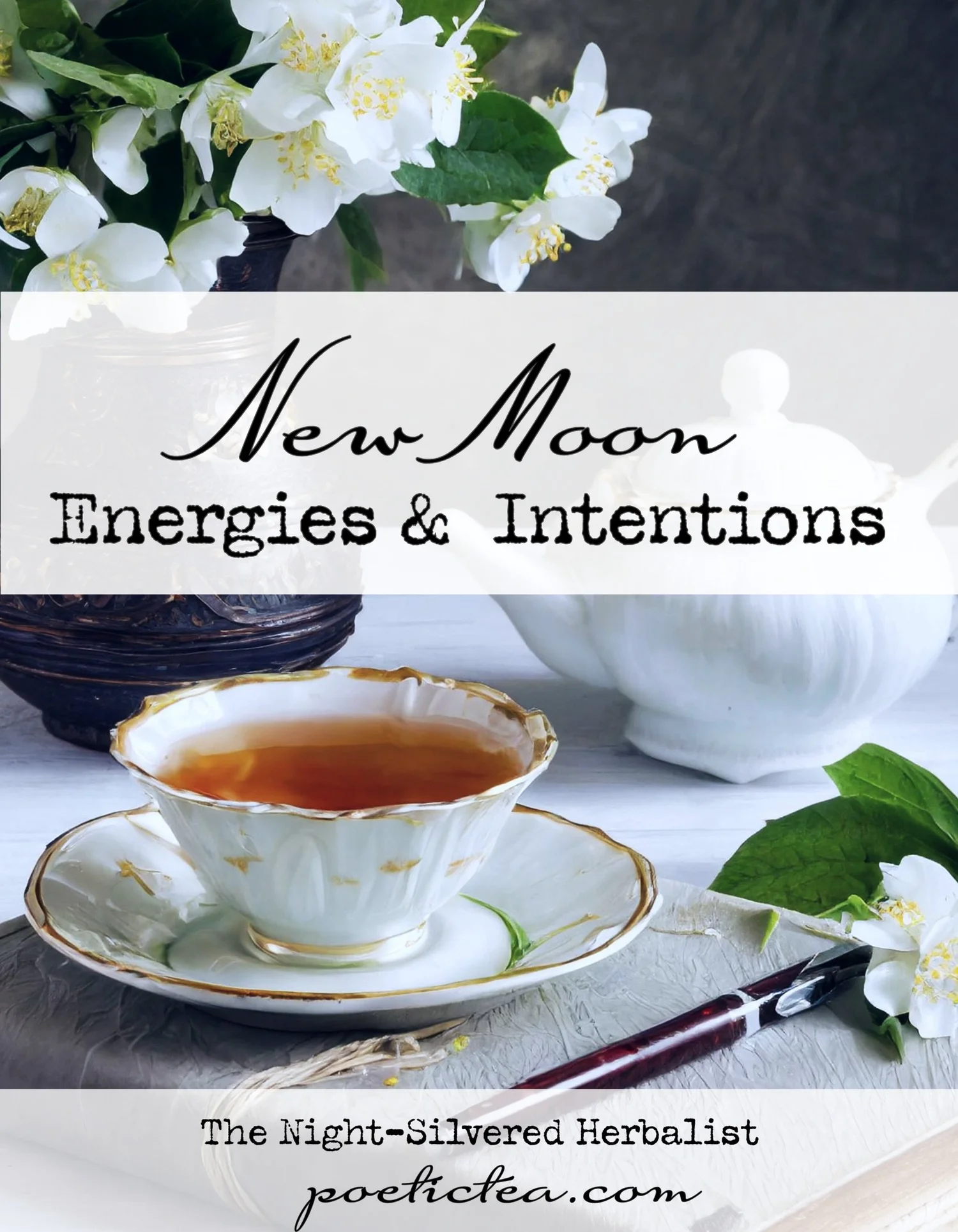 An Herbal Guide to the New Moon in Pisces — Poetic Tea Company