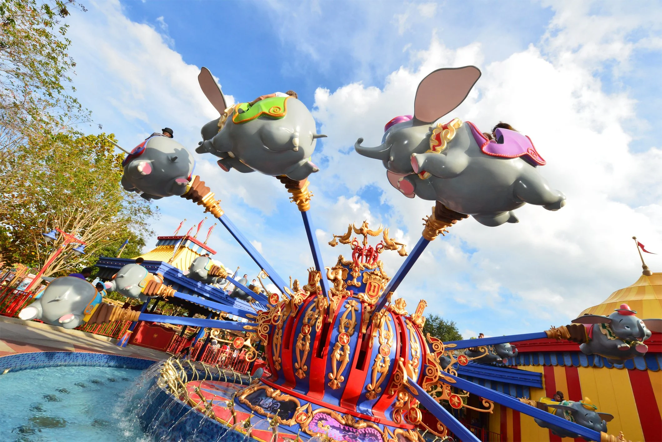 Dumbo.jpg