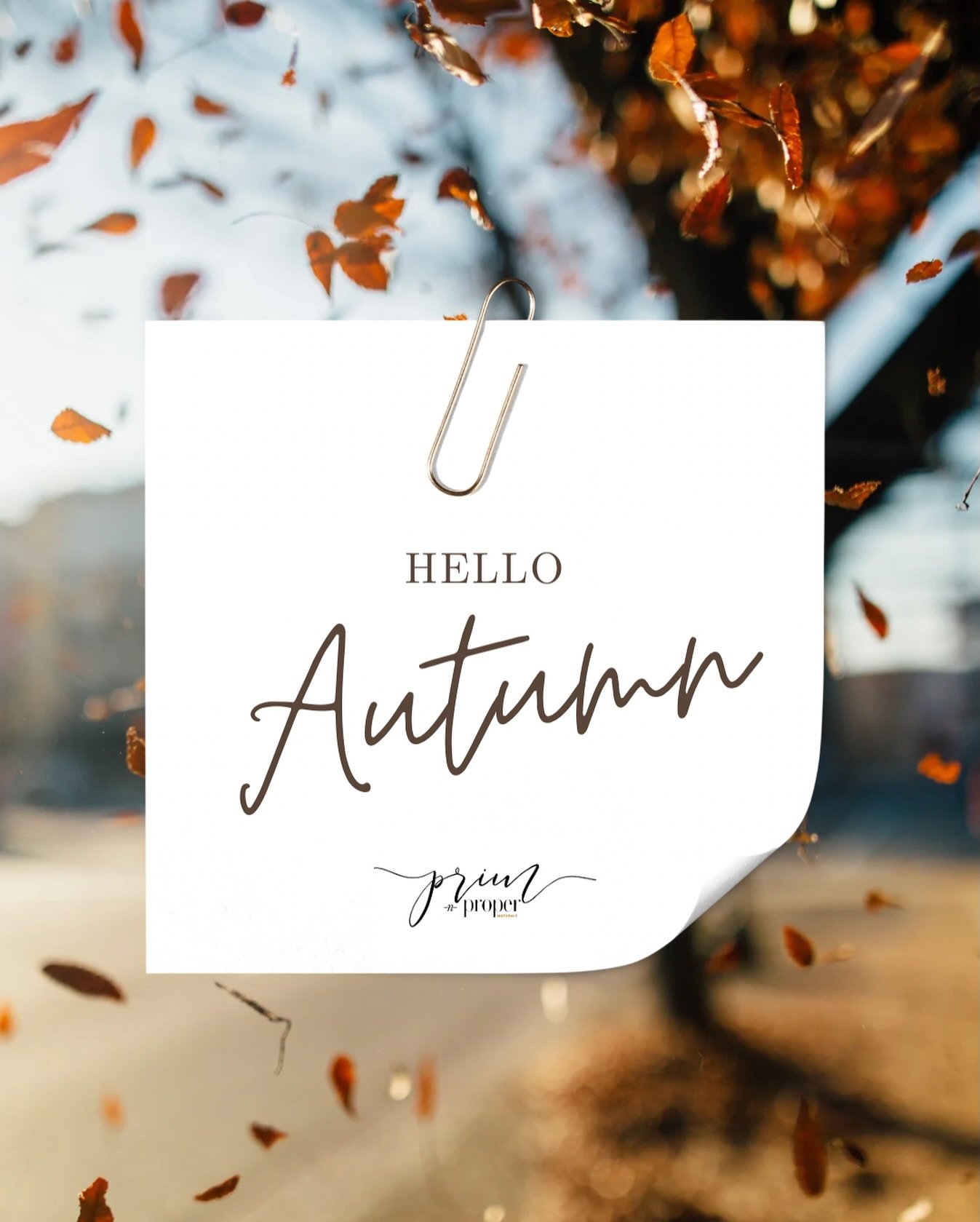 After a very busy summer, here we have arrived at fall 🍂 🤎 #primnproperco #beprim