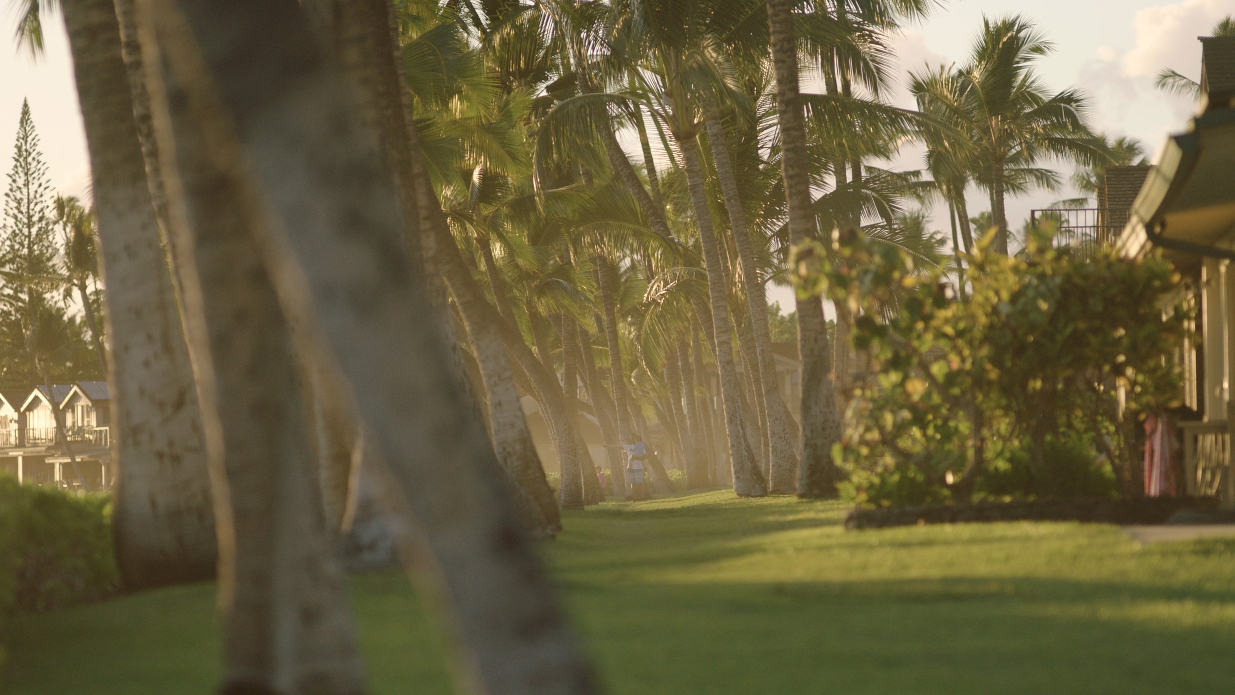 DAY 0 Selects.00_07_48_13.Still021.jpg