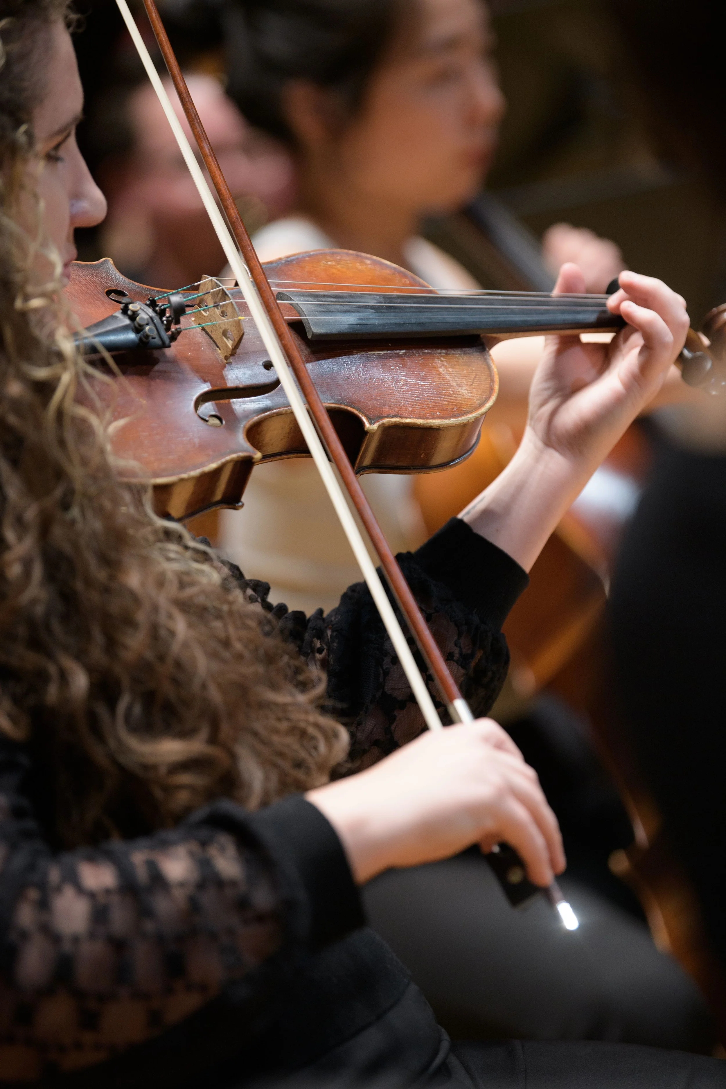 New Music for String Quartet