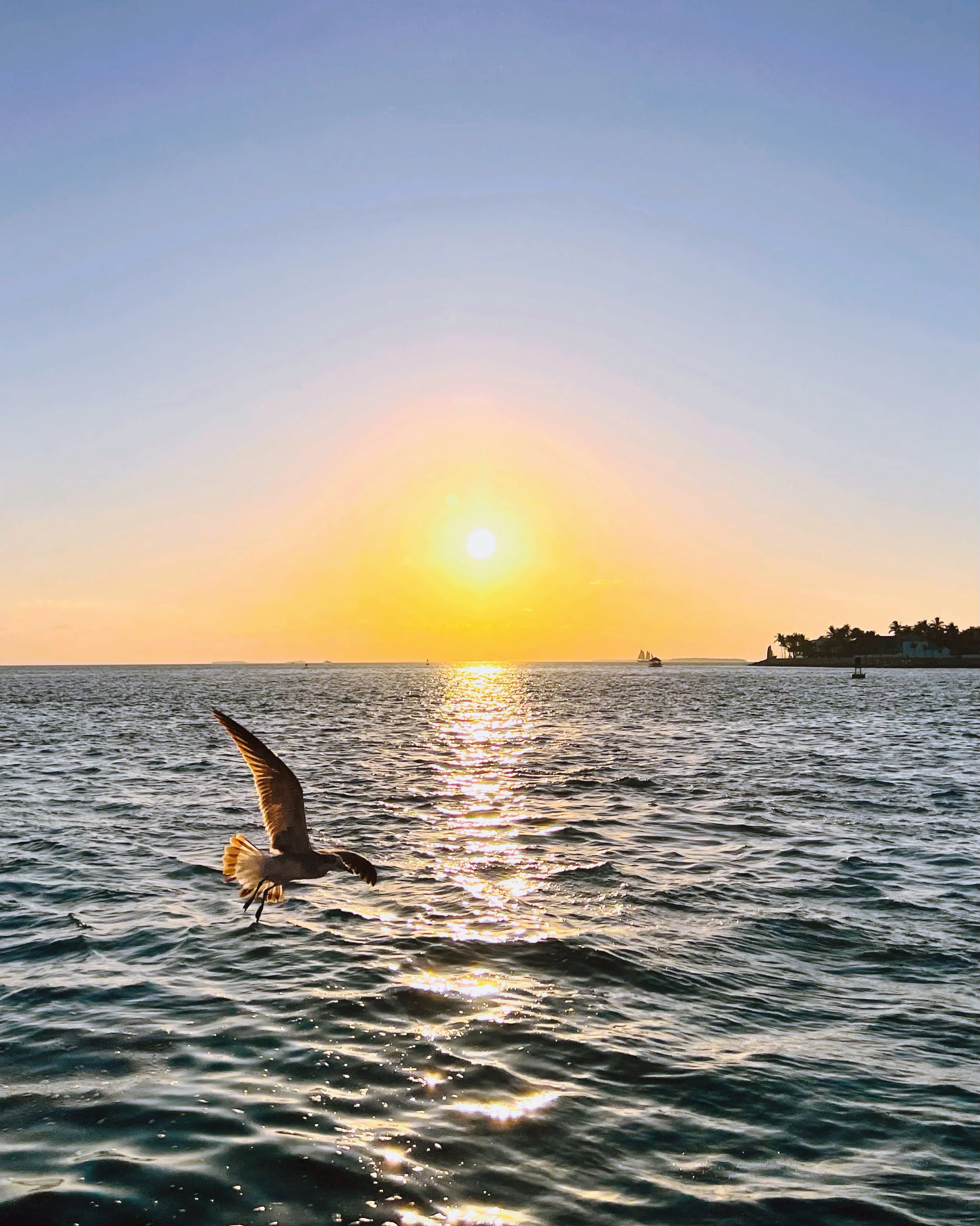 The Paths to Somatic Freedom