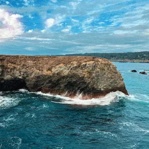 The Steady Evolution of Talking-Therapy Embracing Yoga