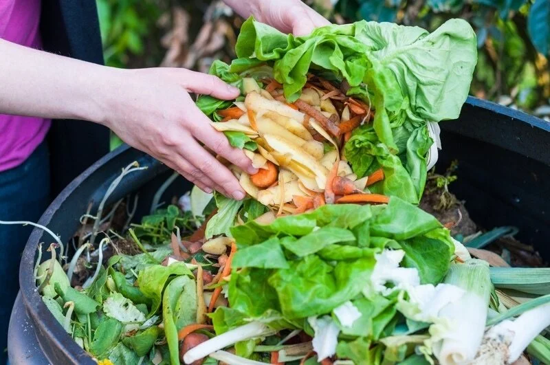 compost.jpg