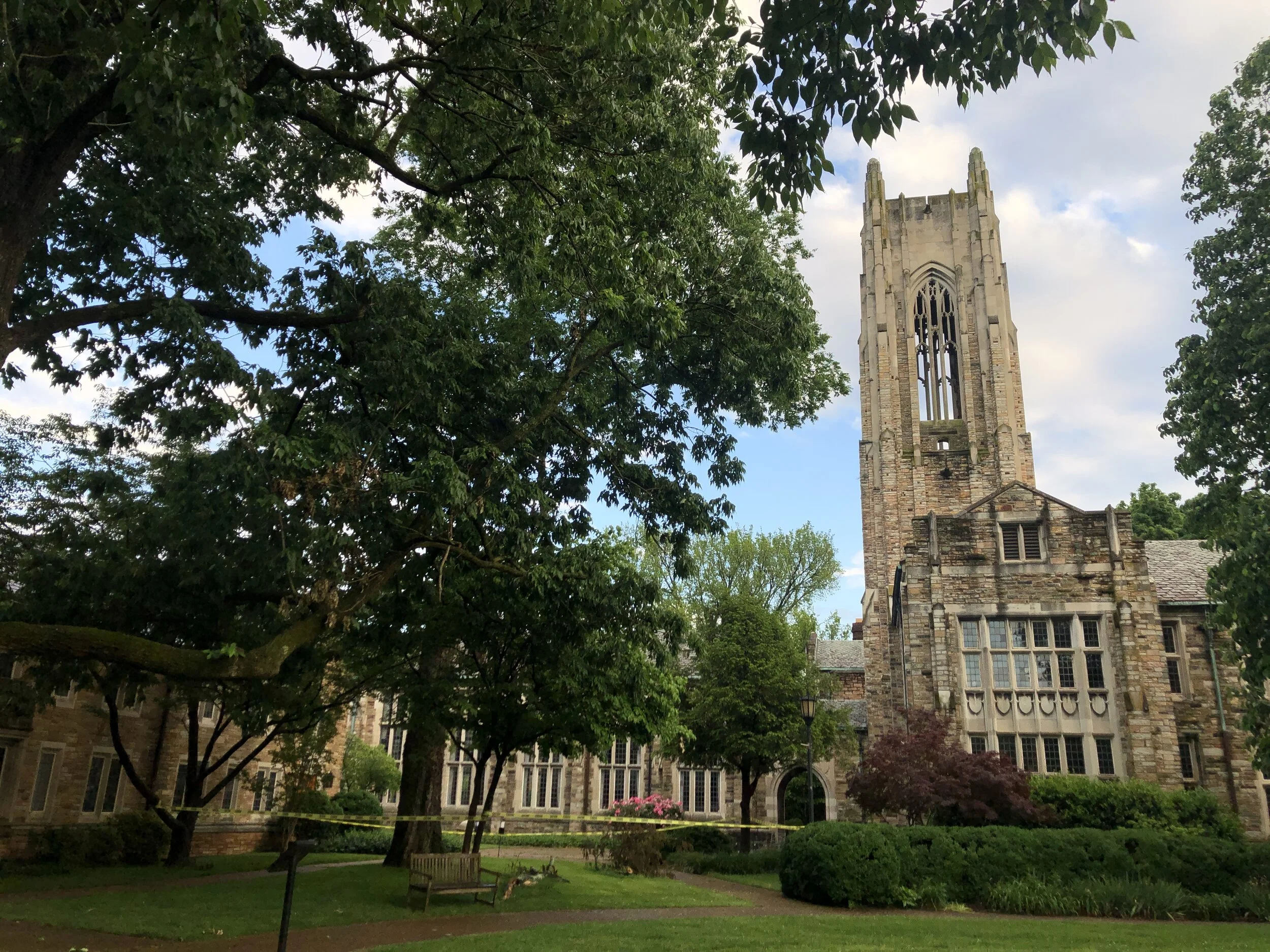 What Walking (Almost) Every Day Taught Me