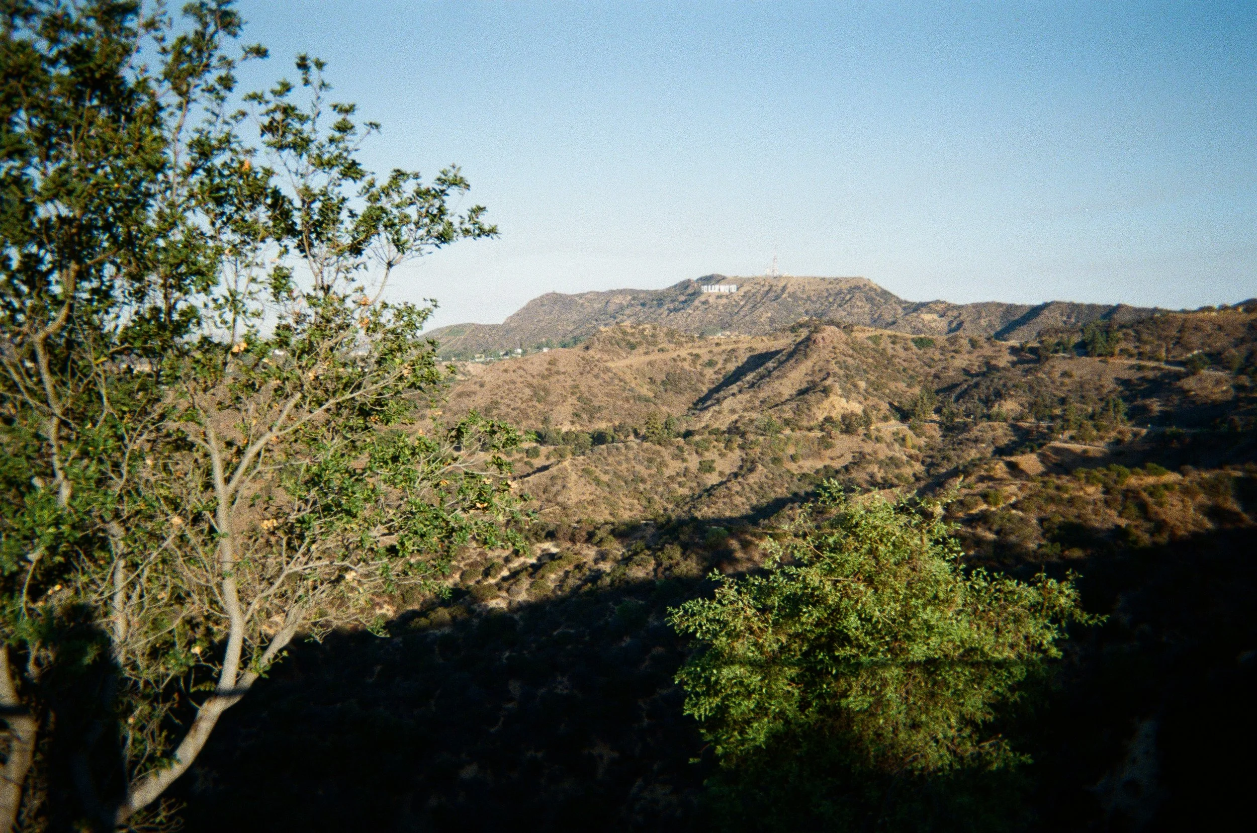 IMG_3073.JPG