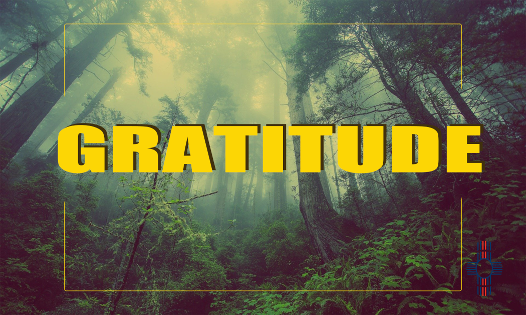 Gratitude