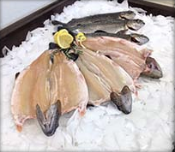Boned Rainbow Trout (5lbs)