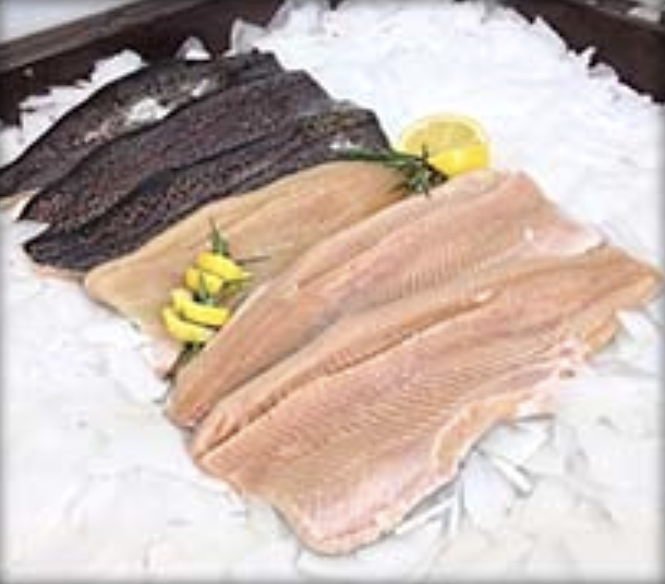 Pin-Boned Rainbow Trout Fillets (5lbs)