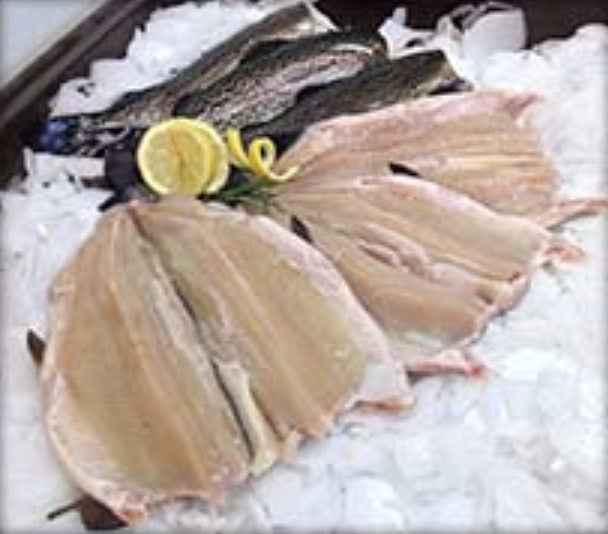 Butterfly Rainbow Trout (5lbs)