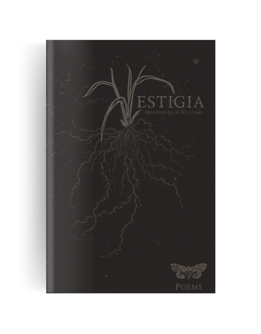 cover+for+website.png