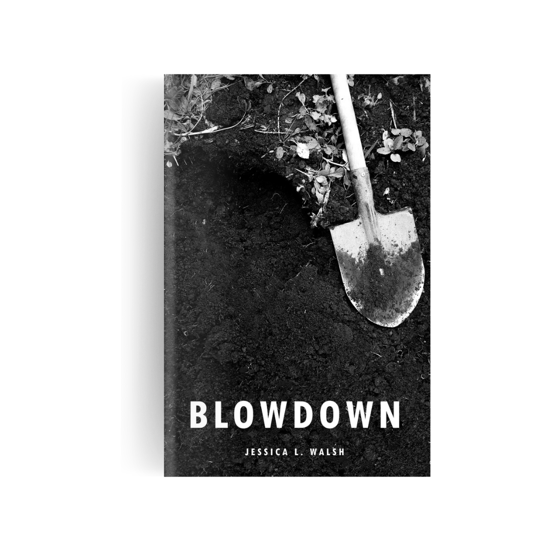 Lineage through Spirit &amp; Grit: A Review of Jessica Walsh’s Blowdown 