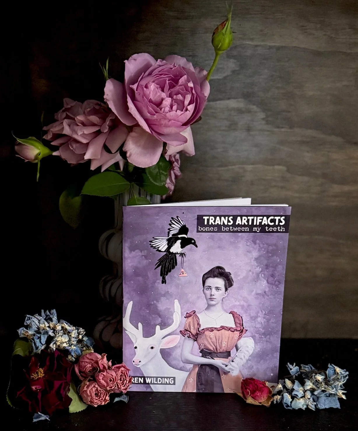 TRANS ARTIFACTS: bones between my teeth, A Review of Ren Wilding’s new Chapbook from Porkbelly Press