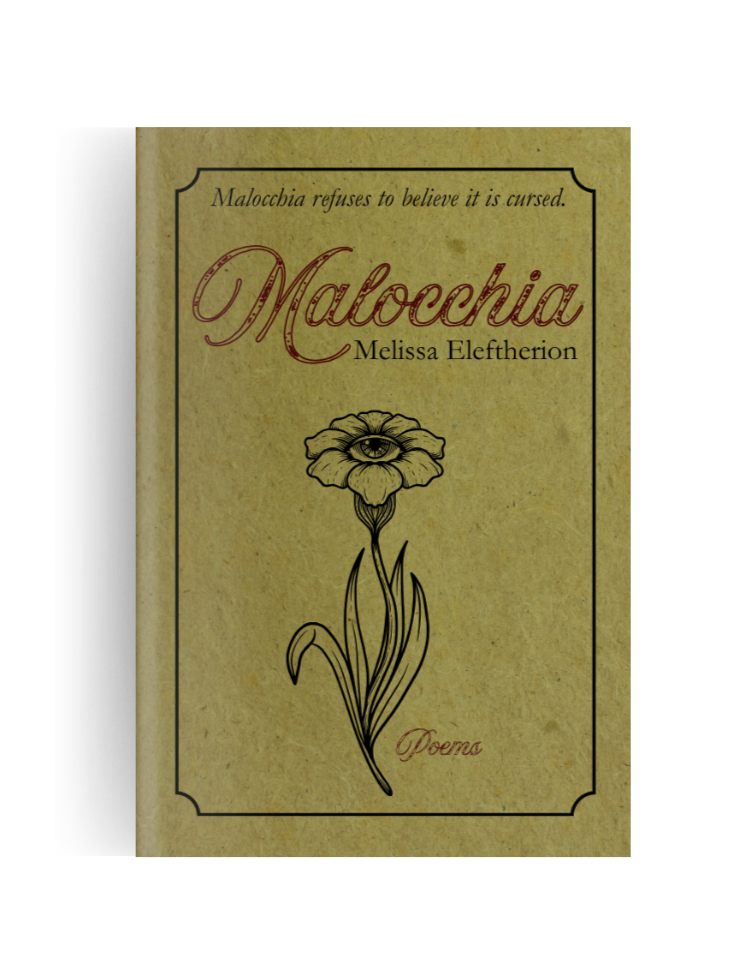 BOOK+NO+BACKGROUND+FOR+WEBSITE.png