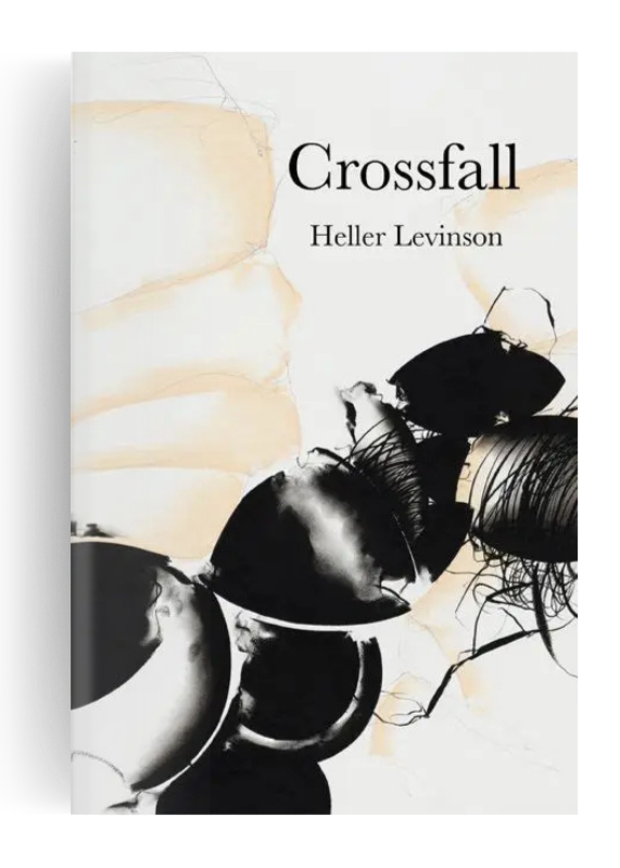 Searching for a Subatomic Particle Map: A Review of Heller Levinson’s “Crossfall”