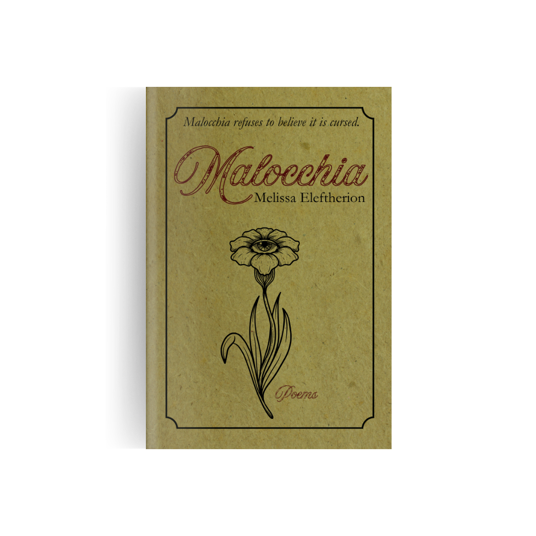 BOOK NO BACKGROUND FOR WEBSITE.png