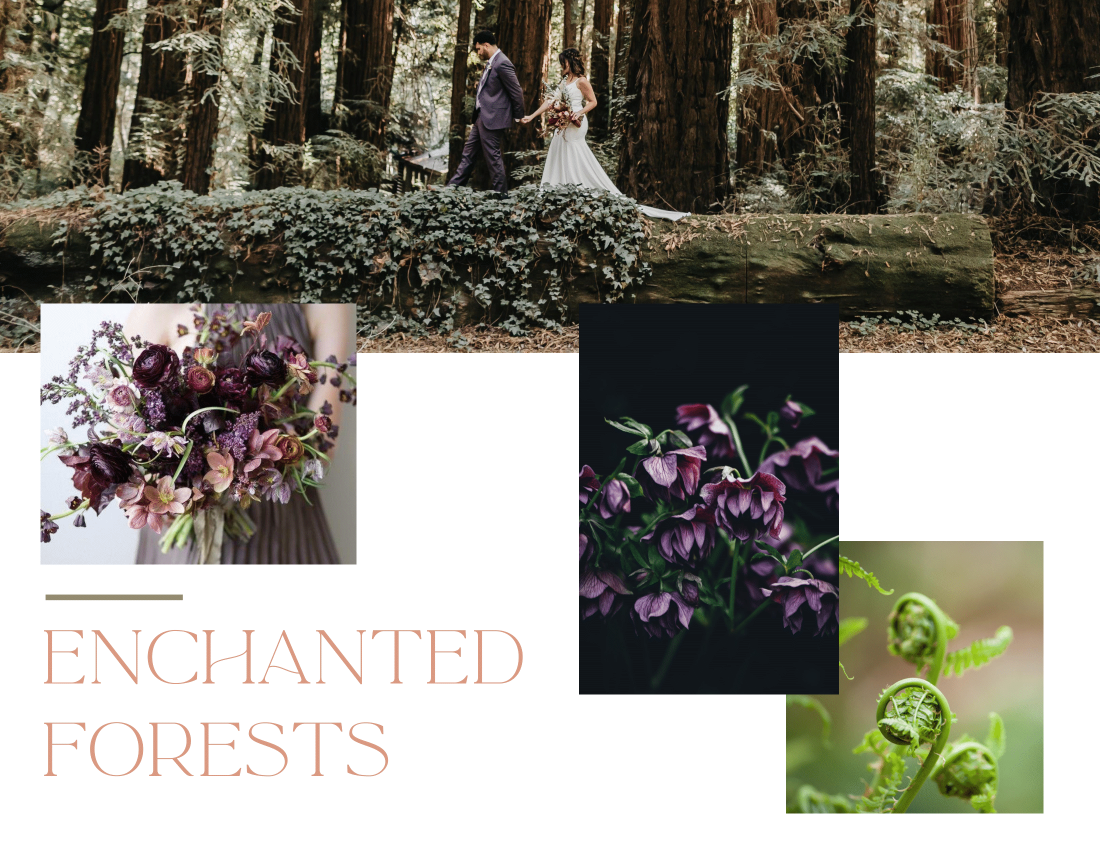 Rosewater Lookbook-12.png