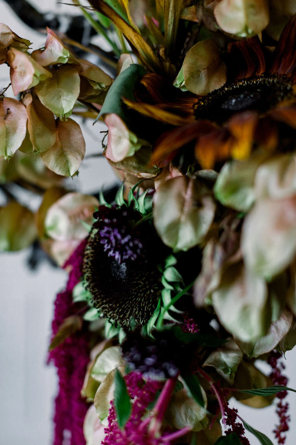 SCP_AuroralFloralShoot231.jpg