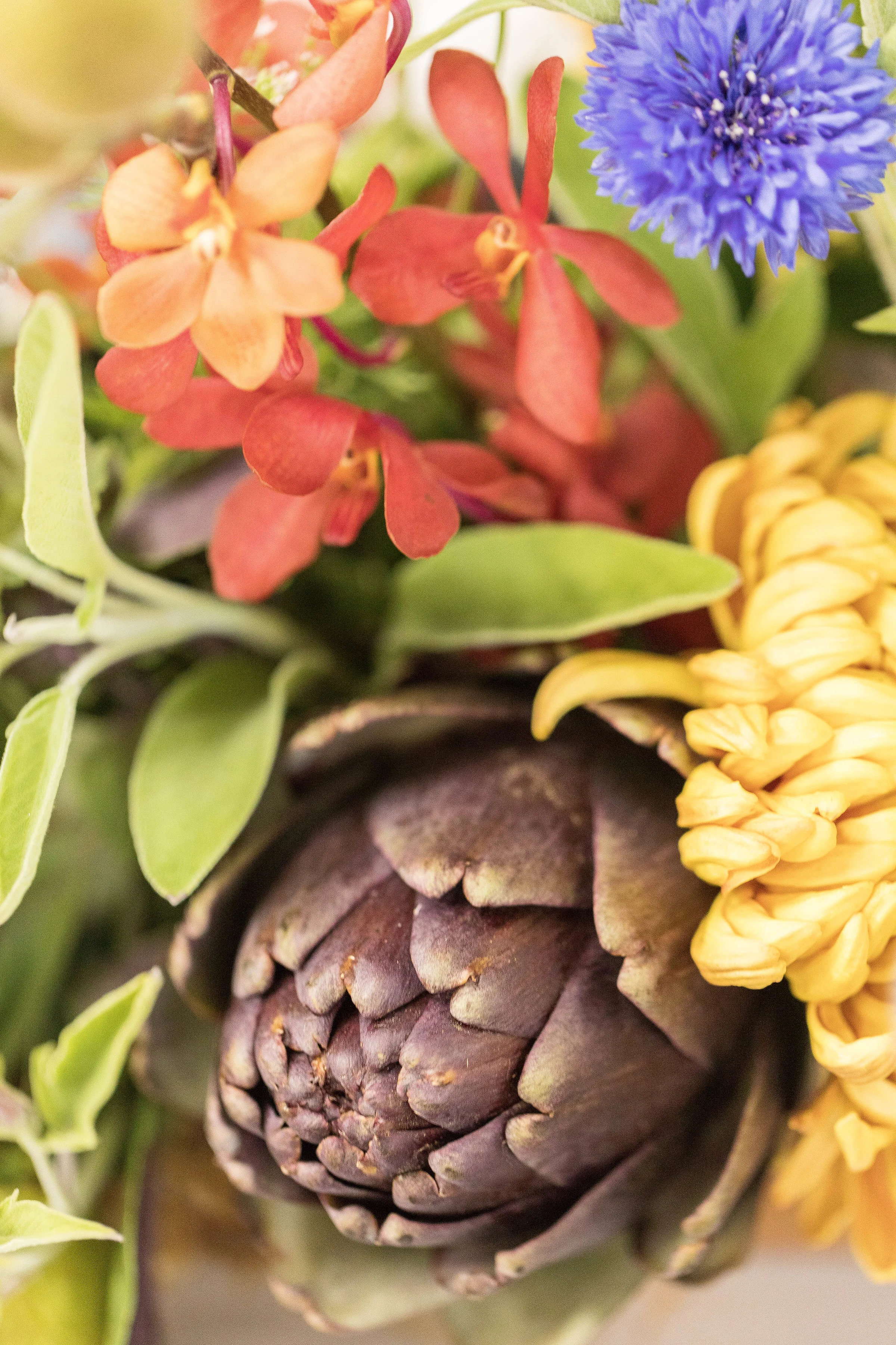 summerharvesttable-18.jpg