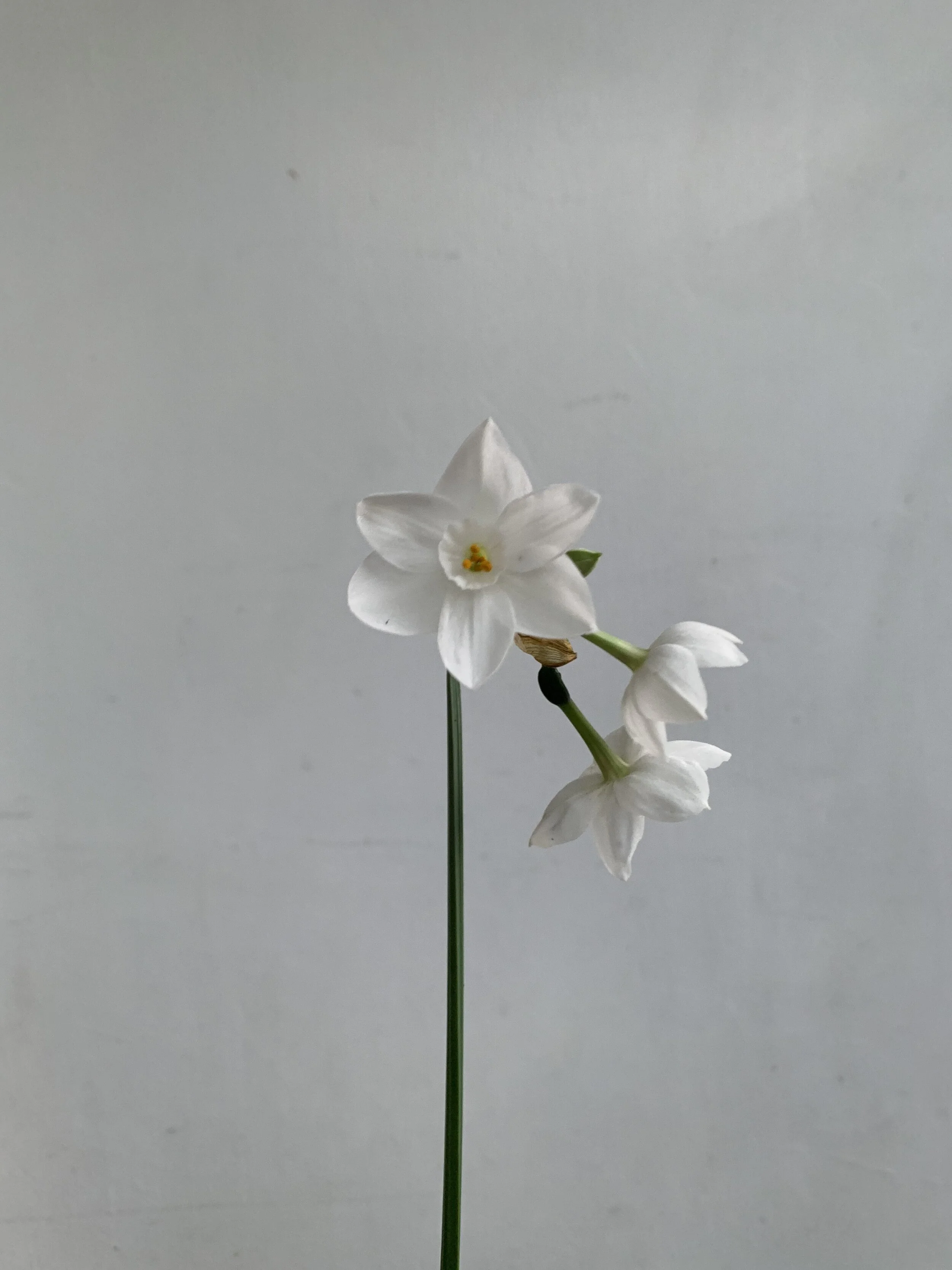 image_67121665.JPG