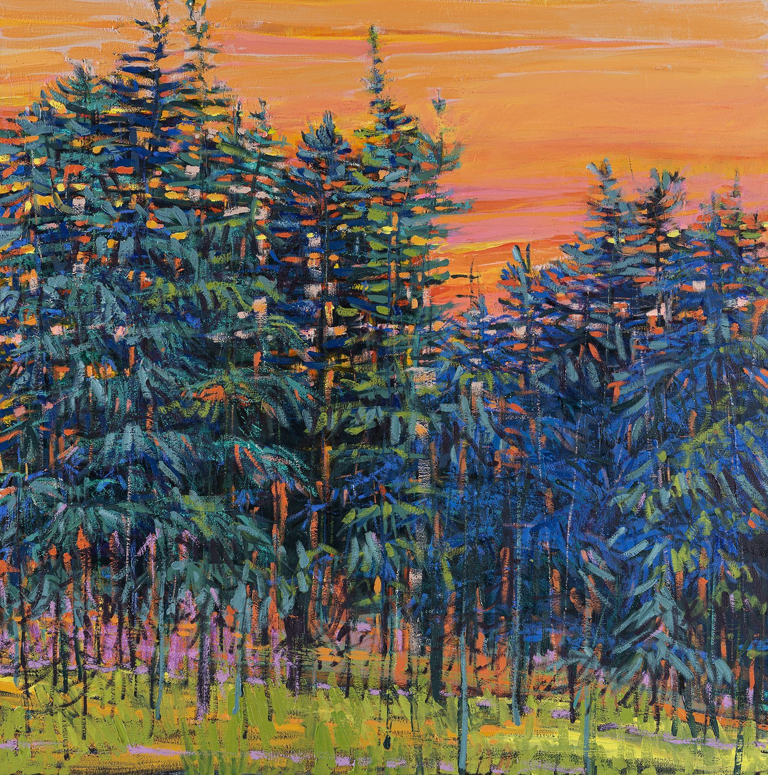 Karin Wagner Coron | Pines at Sunset