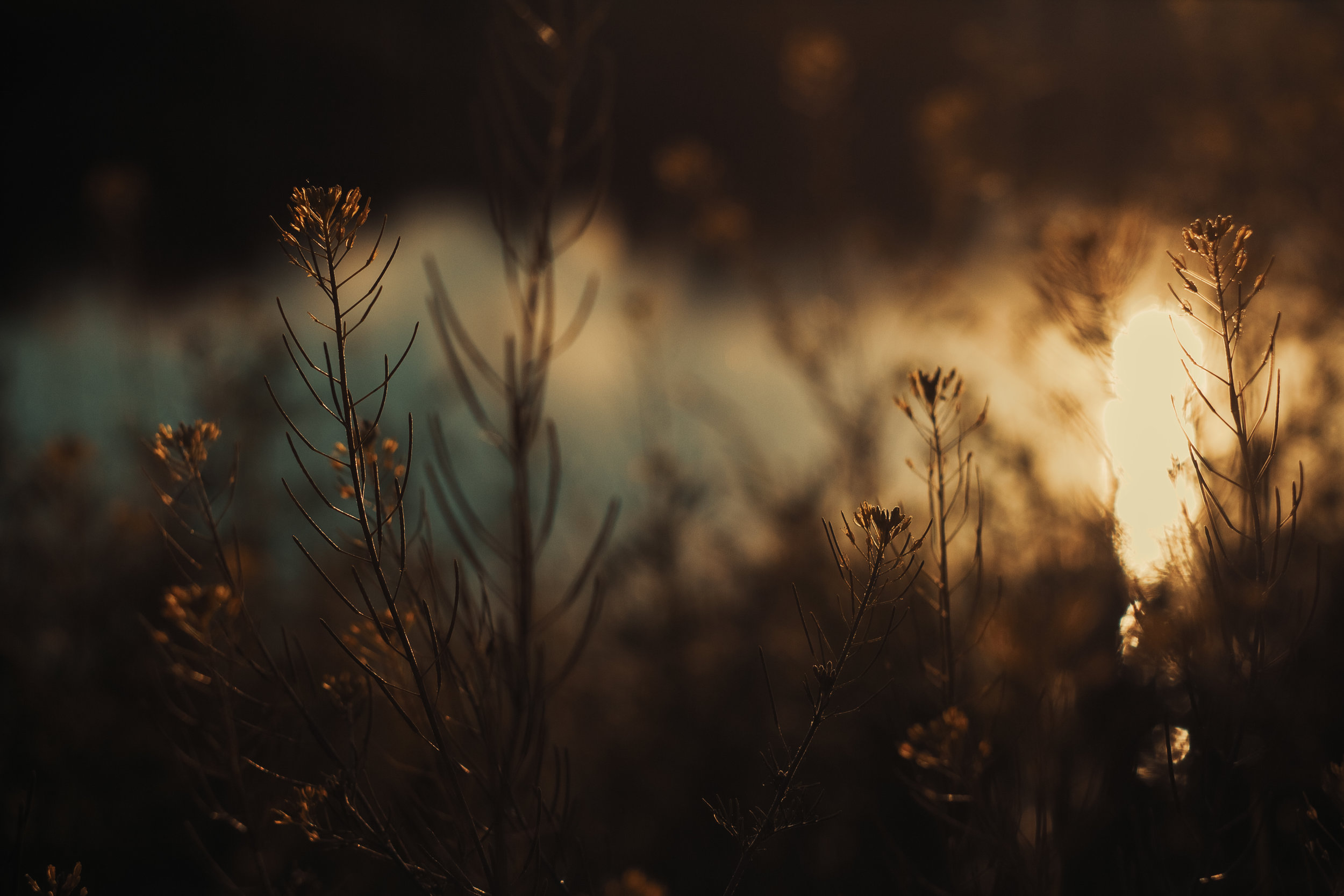 Healing from Sexual Betrayal: The Gift of Vulnerability