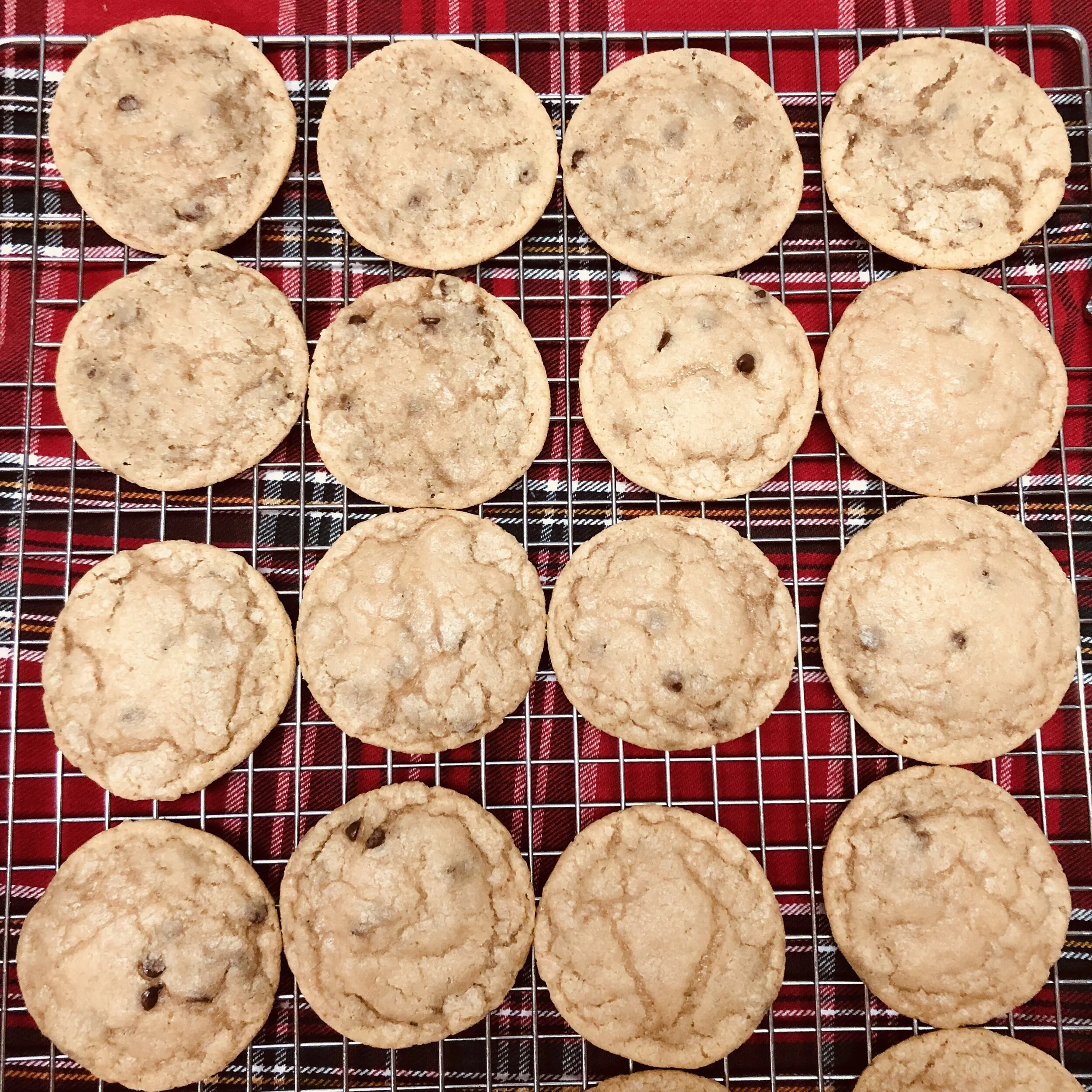 2 Day Chocolate Chip Cookies That Will Rock Your World