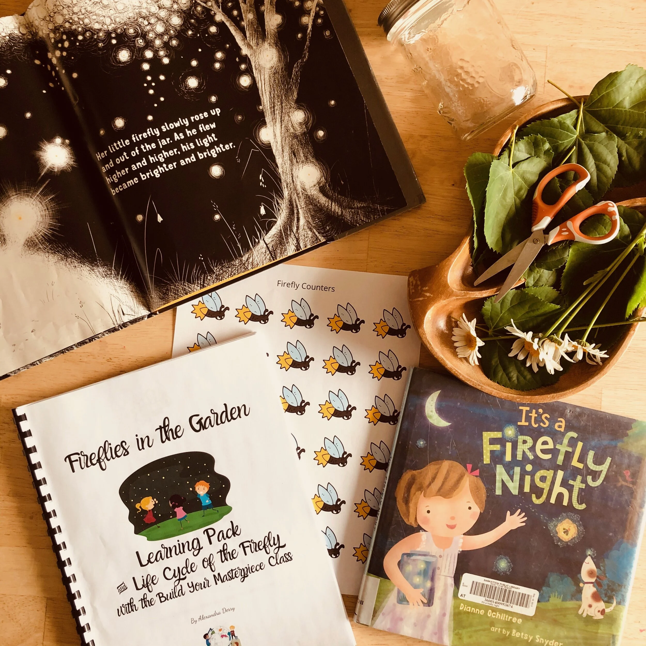 Fireflies in the Garden Learning Pack and Life Cycle of the Firefly