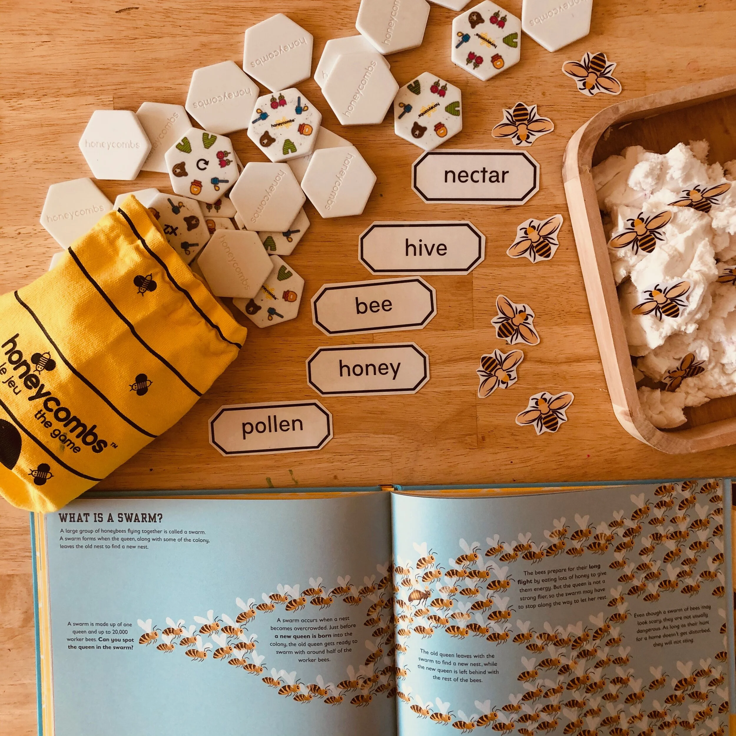 Life is Sweet - Learn about Bees + Pollination!
