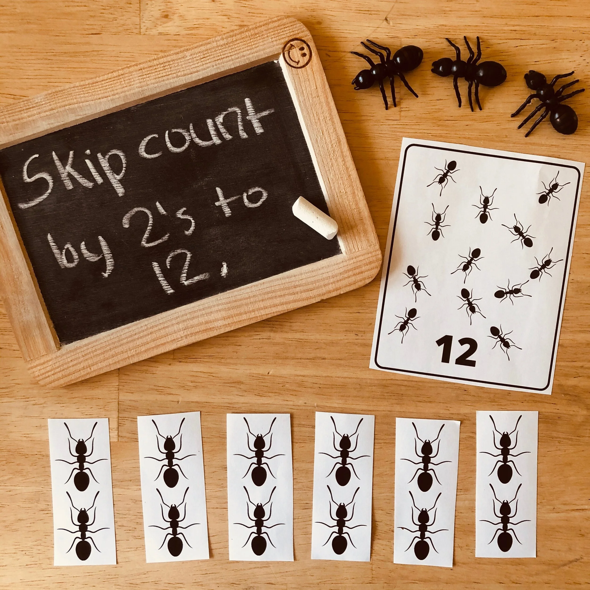 Ant Unit Study for Kids!