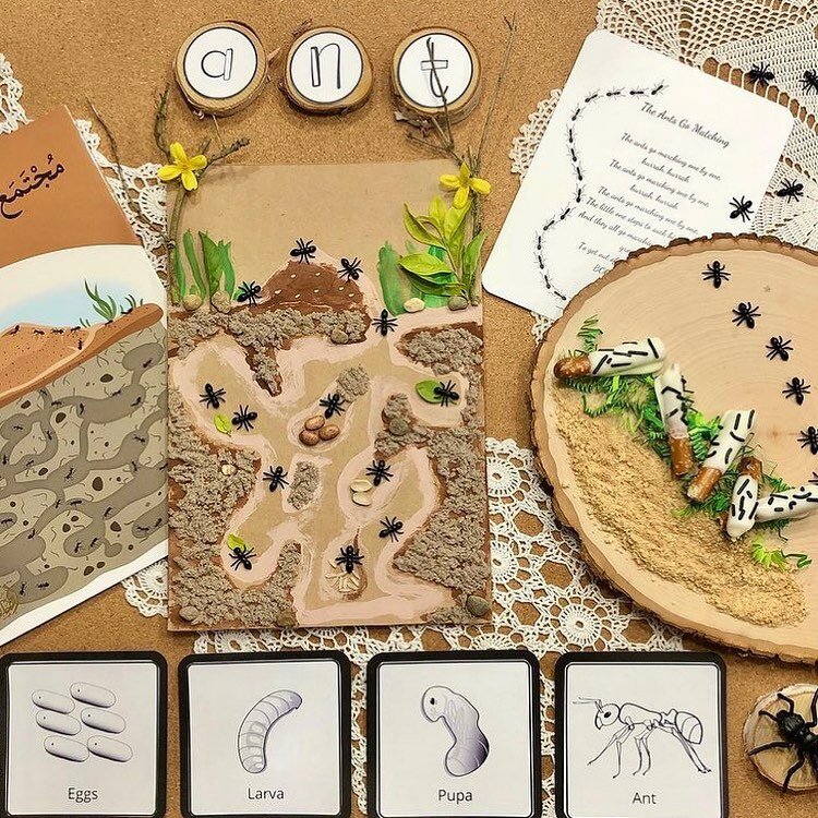 Are you diving into Black 🐜 Ants week with #exploringnaturewithchildren ? If so, it&rsquo;s a great time to check out our Ants in the Garden Learning Pack! We have a life cycle of an ant, hands on art projects, yummy recipes and so much more! Swipe 