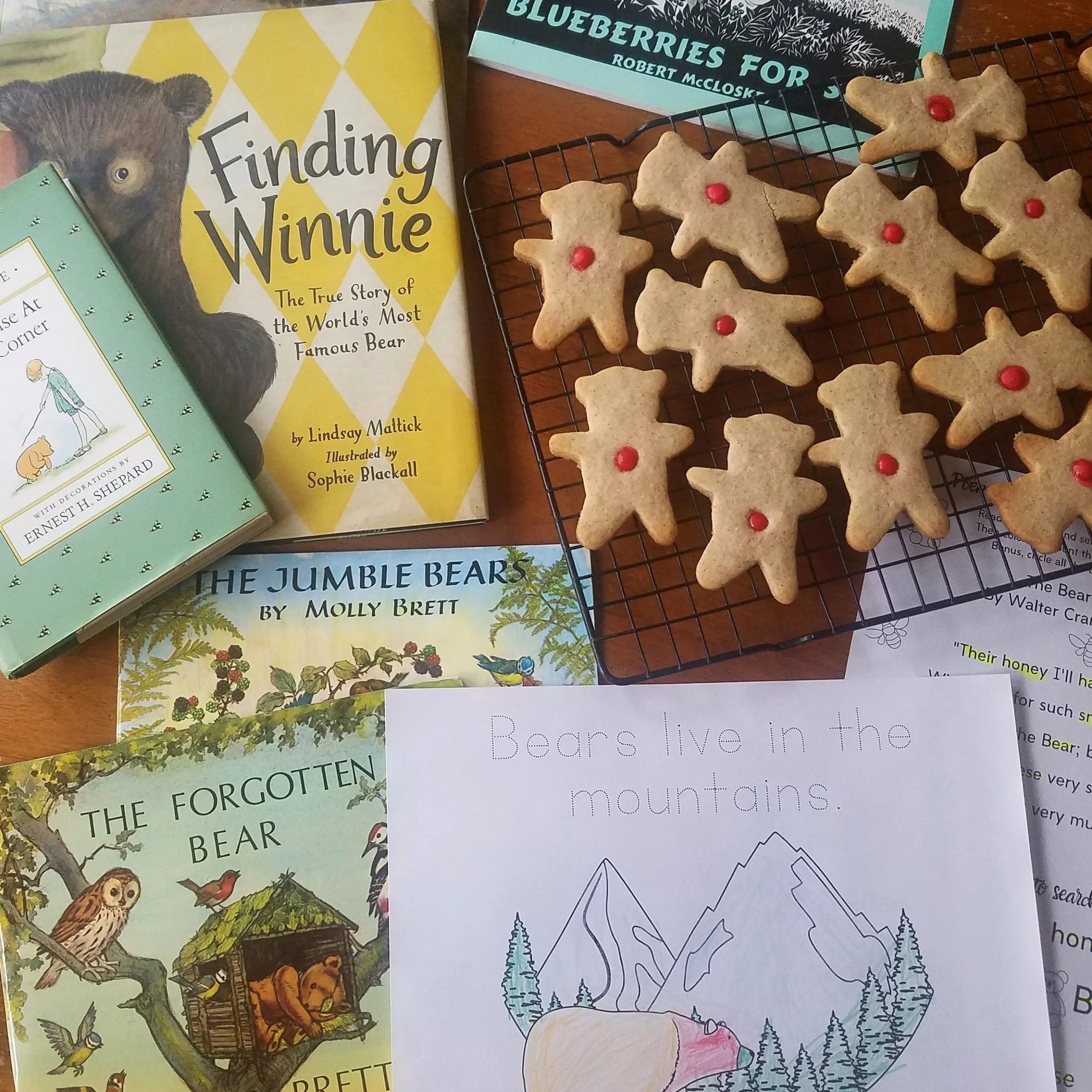 Bears in the Mountains: A Homeschool Unit Study