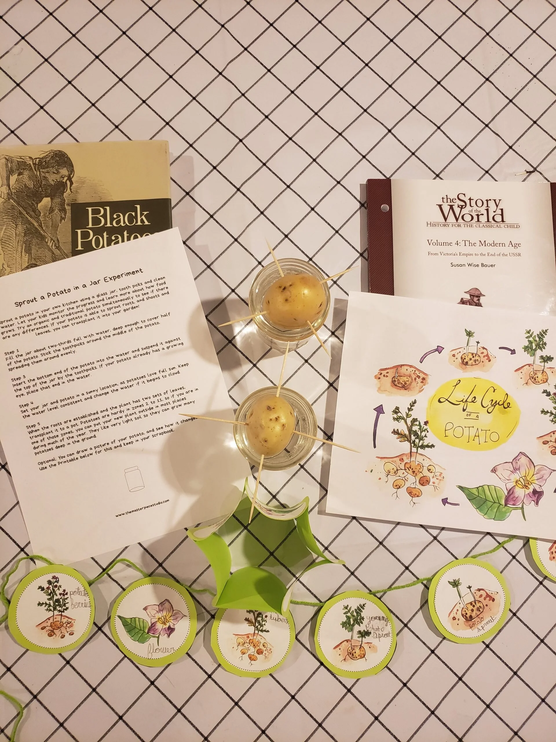 Learning about Ireland and the History of the Potato