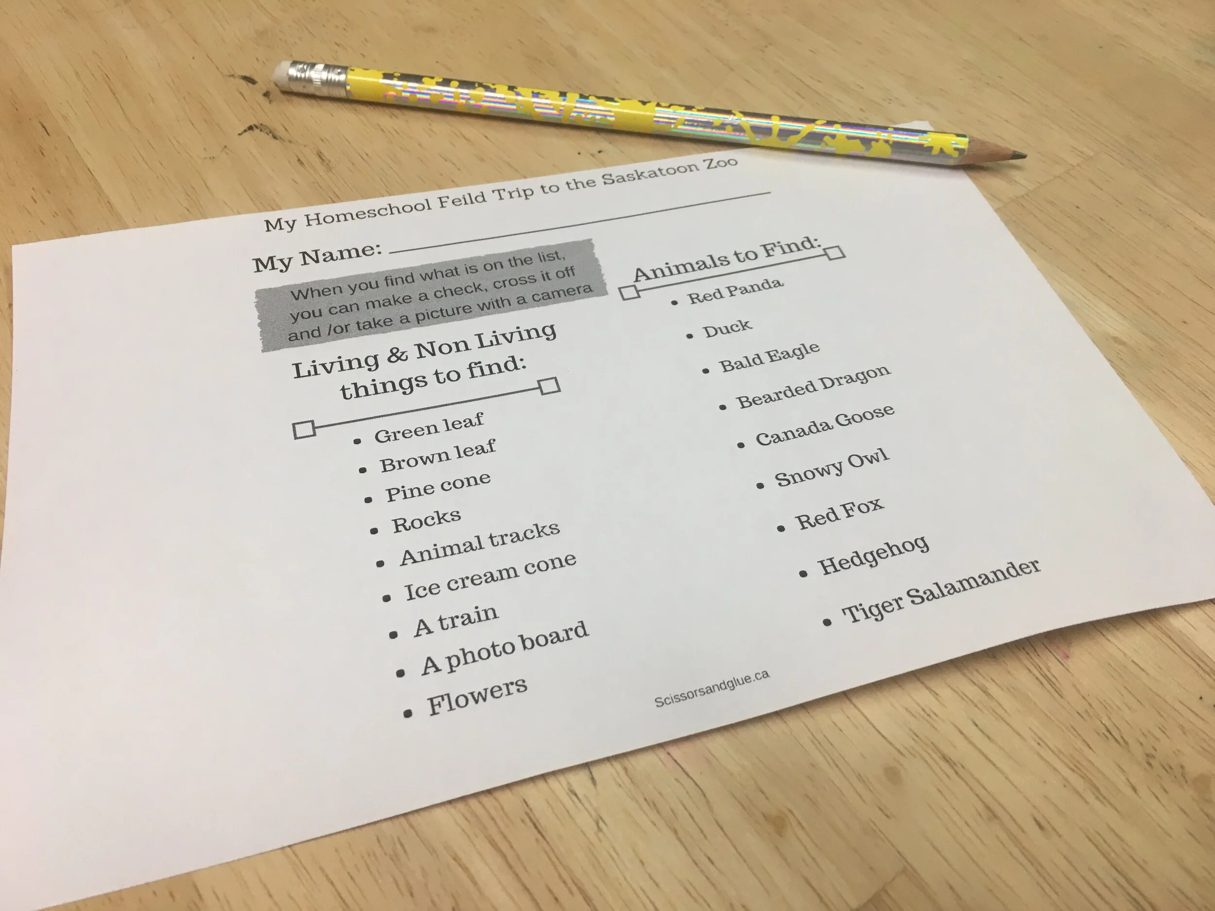 Homeschool Field Trips +  Zoo Scavenger Hunt FREEBIE