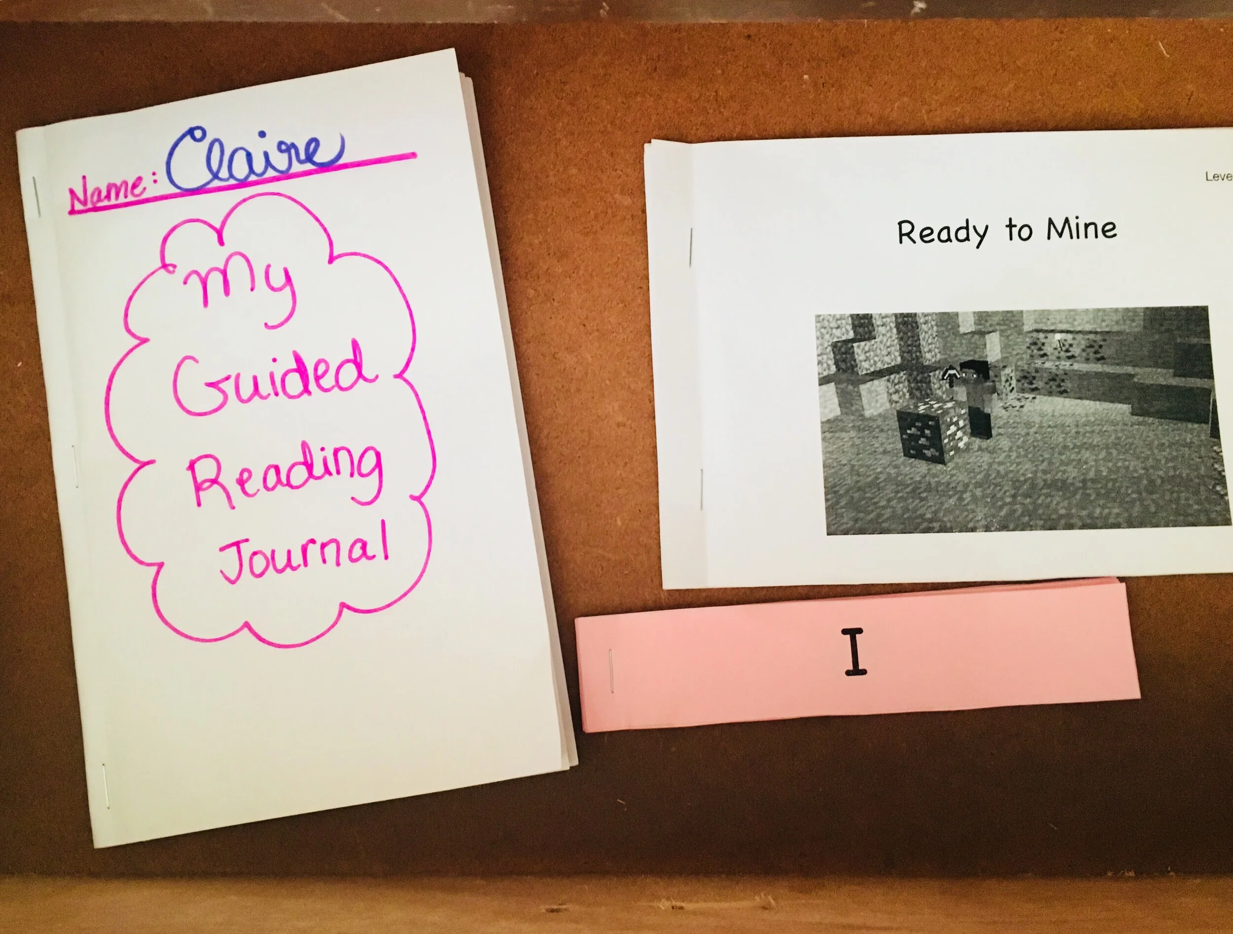 Minecraft Guided Reading Unit Level B+C